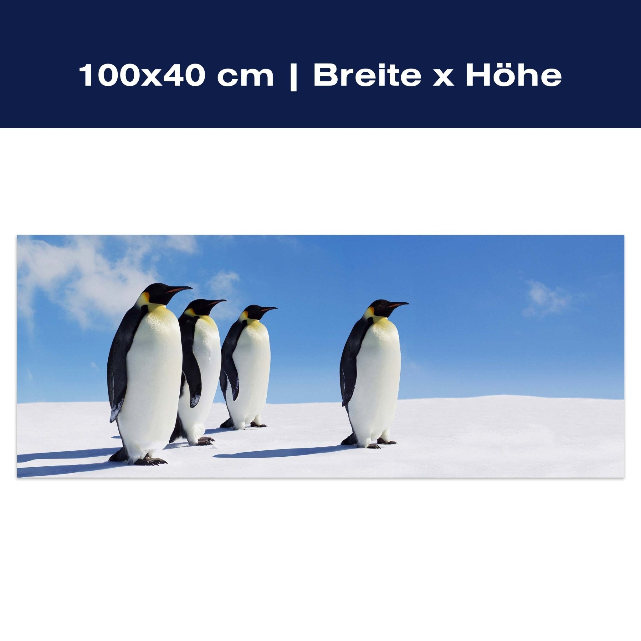 Leinwandbild Königspinguine, Pinguine, Eis, Tiere M1095