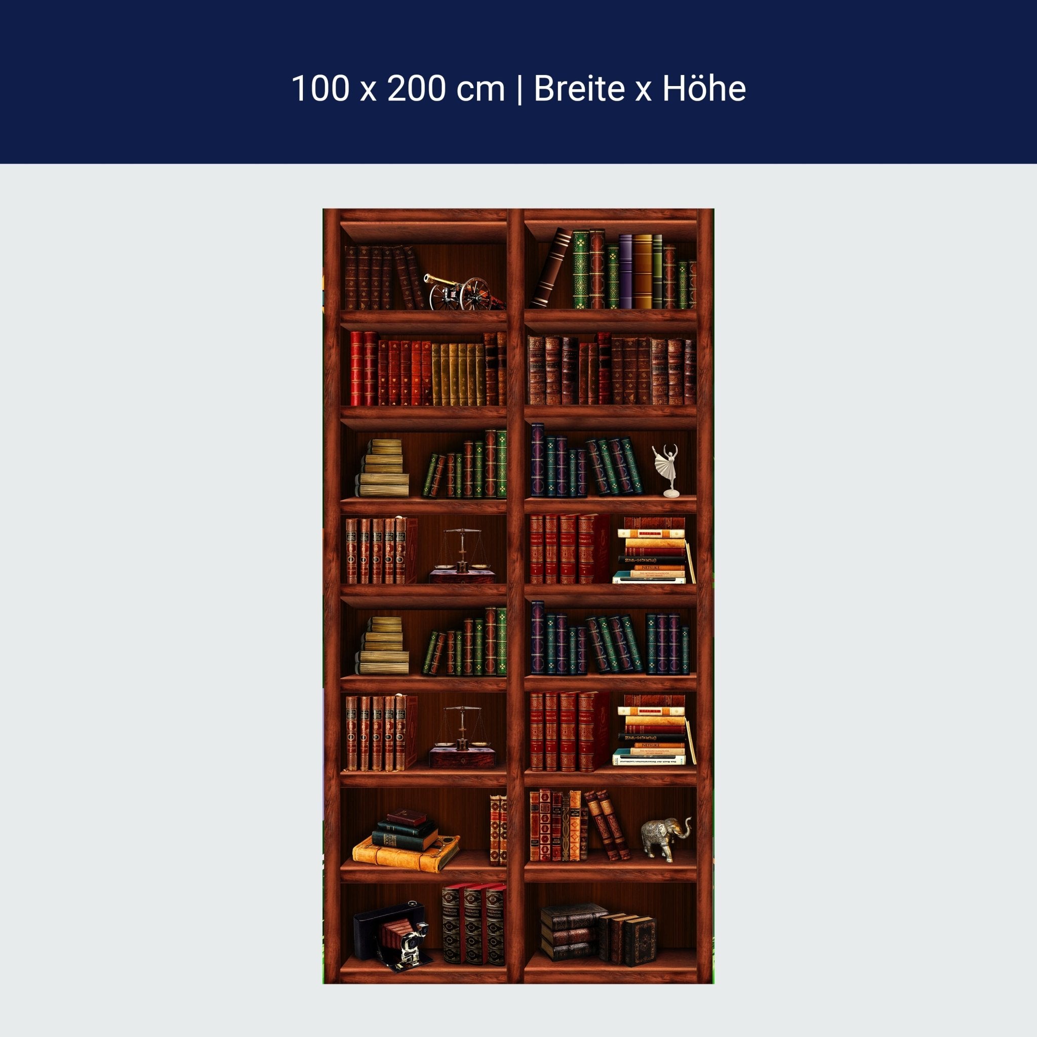 Türtapete Bücher-regal, Schrank, Buch, Figur M1108