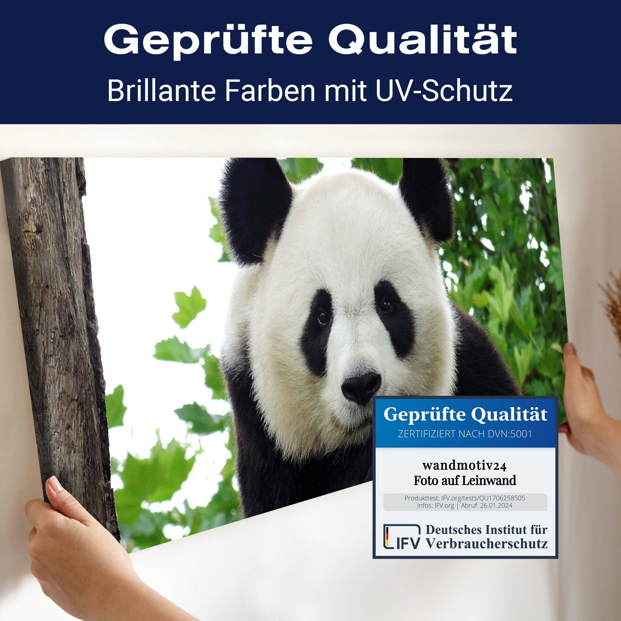 Leinwandbild Panda, Bär, Tier, schwarz, weiß M1111 kaufen - Bild 4