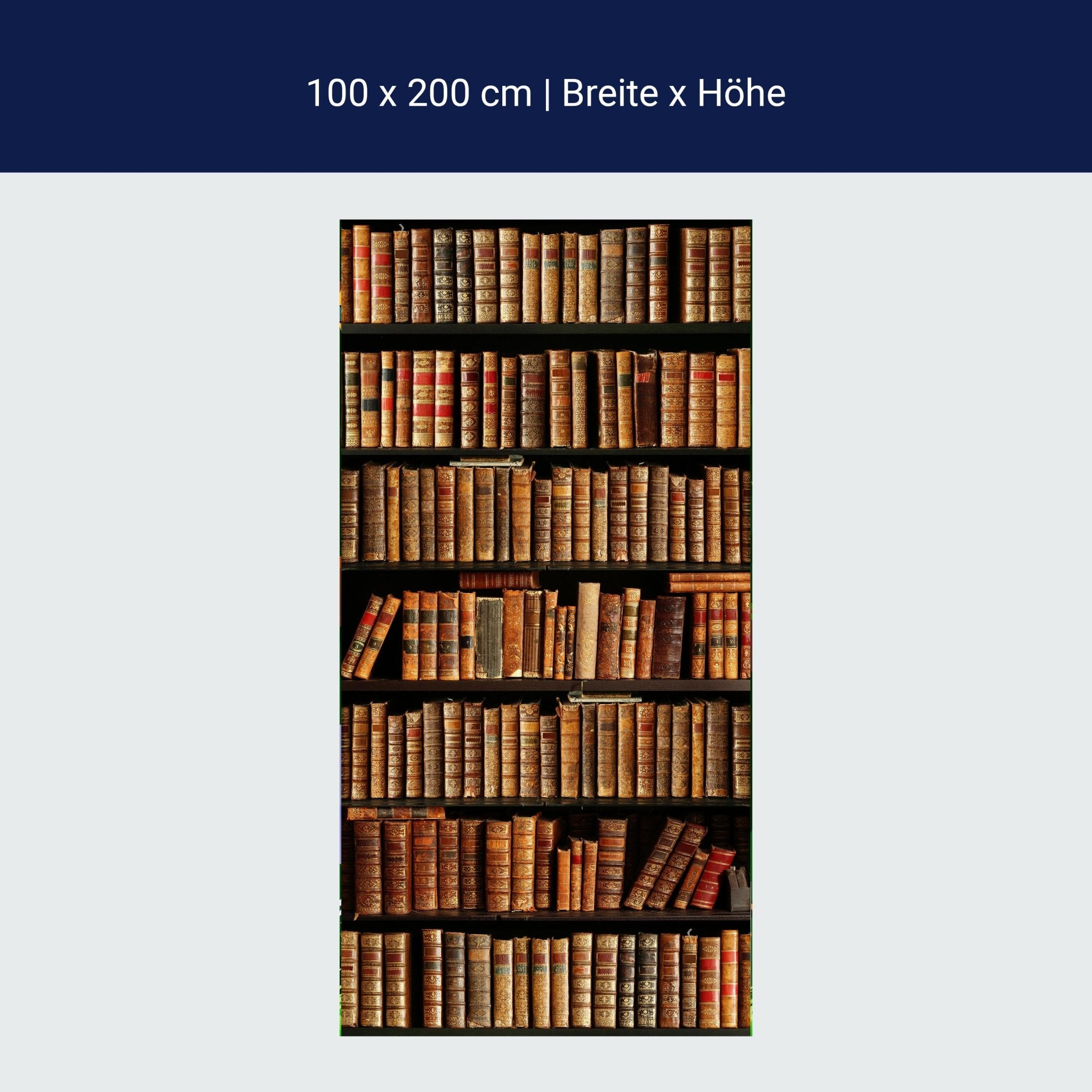 Türtapete altes Bücher-regal, Schrank, Buch, Roman M1117