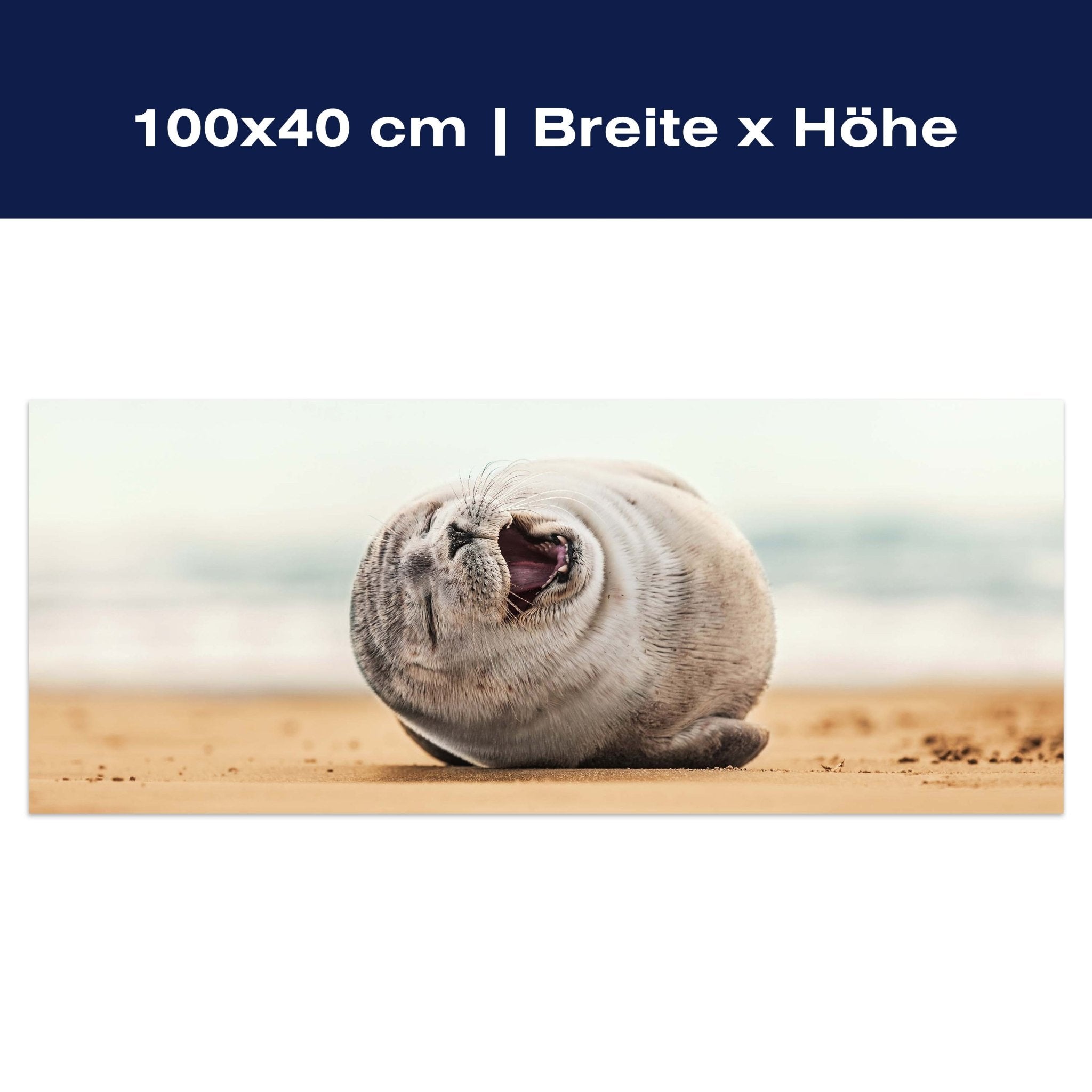 Leinwandbild Robbe, Seehund, Strand, Tier M1119