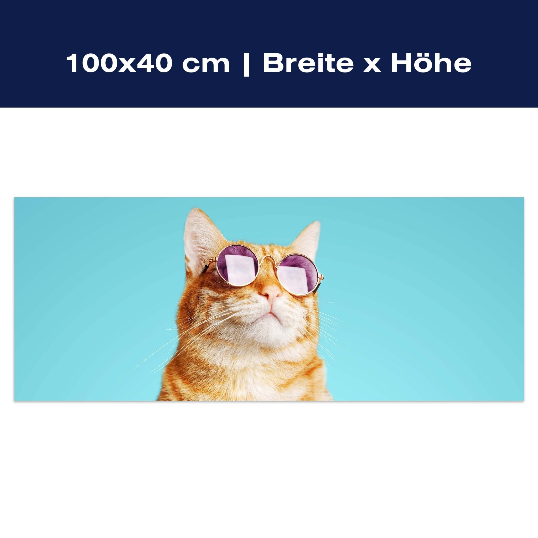 Leinwandbild gestreifte Katze, violette Sonnenbrille M1120