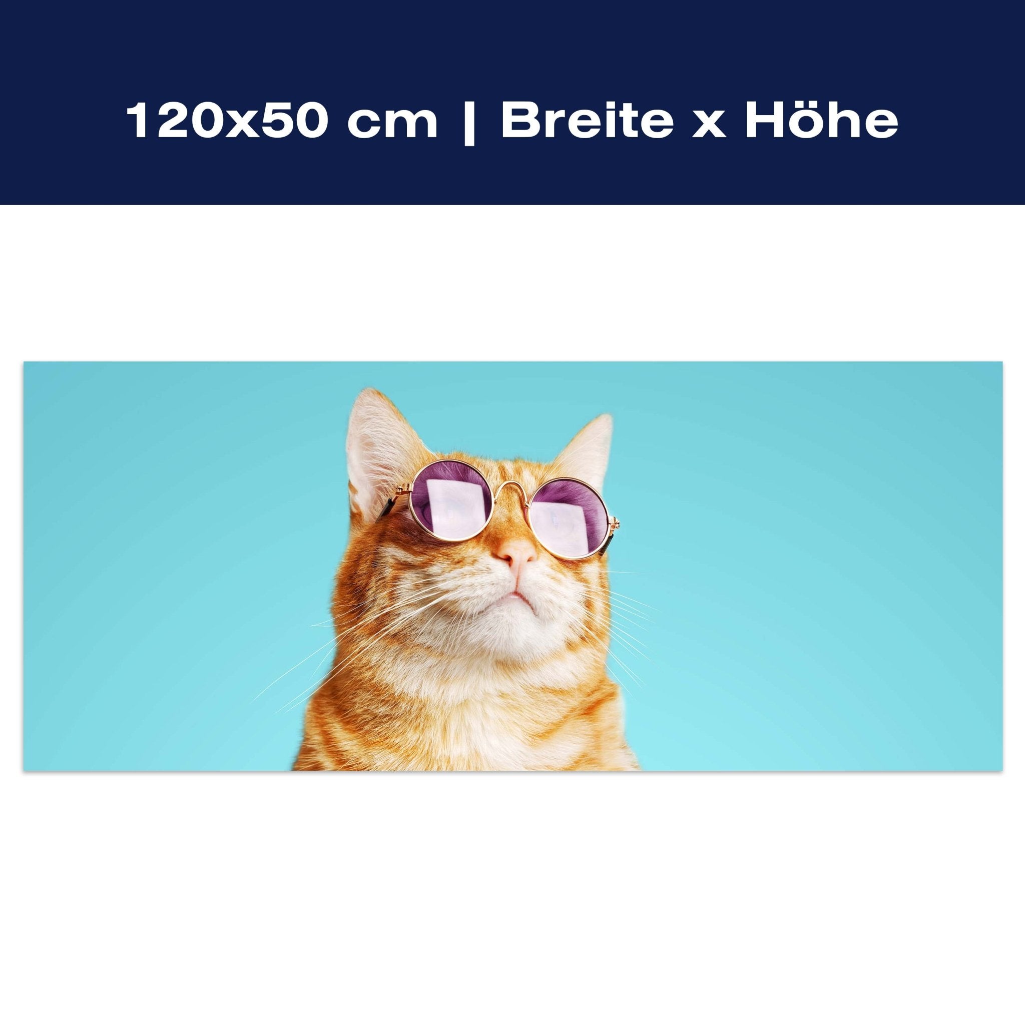 Leinwandbild gestreifte Katze, violette Sonnenbrille M1120