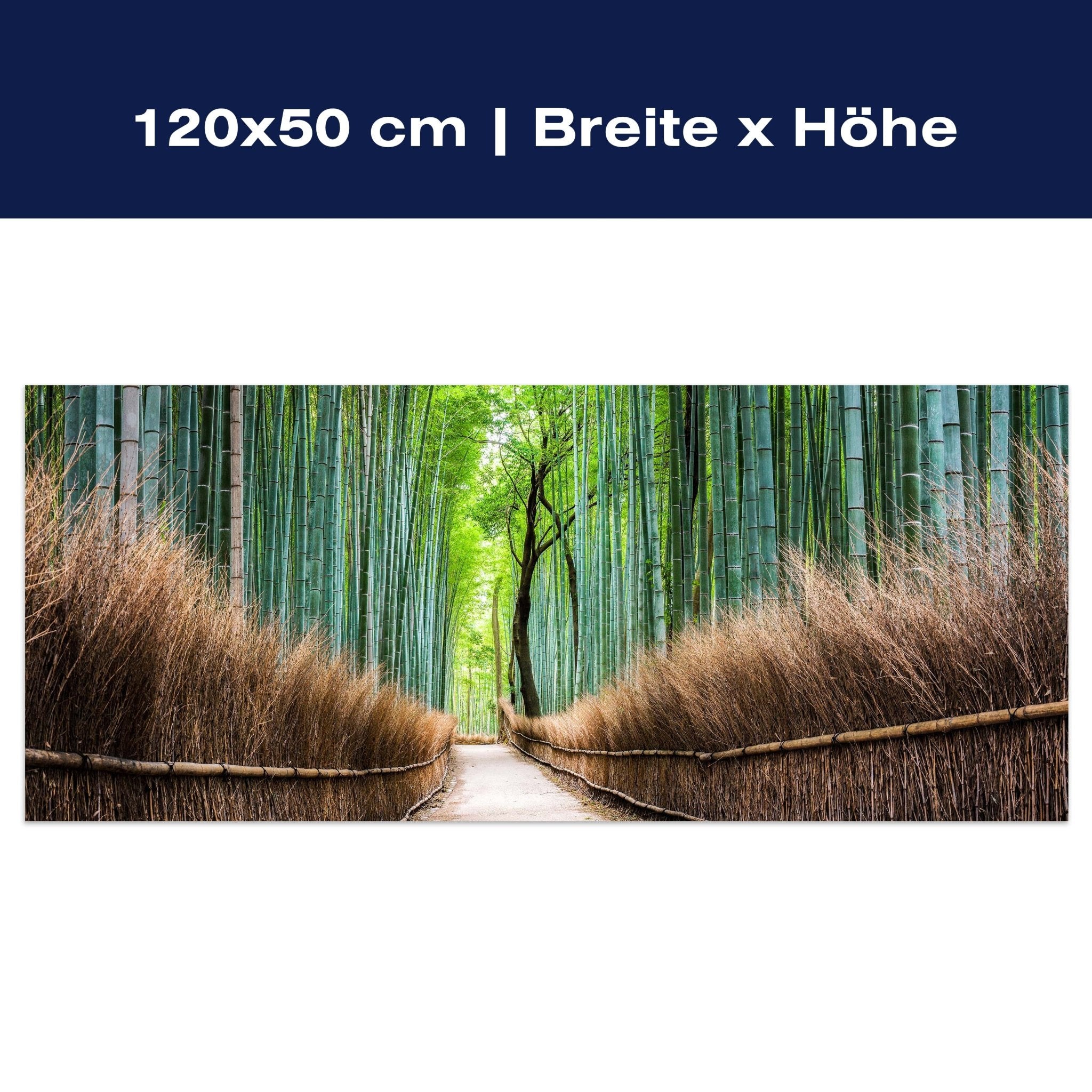 Leinwandbild Bambus Weg Wald Zaun M1126