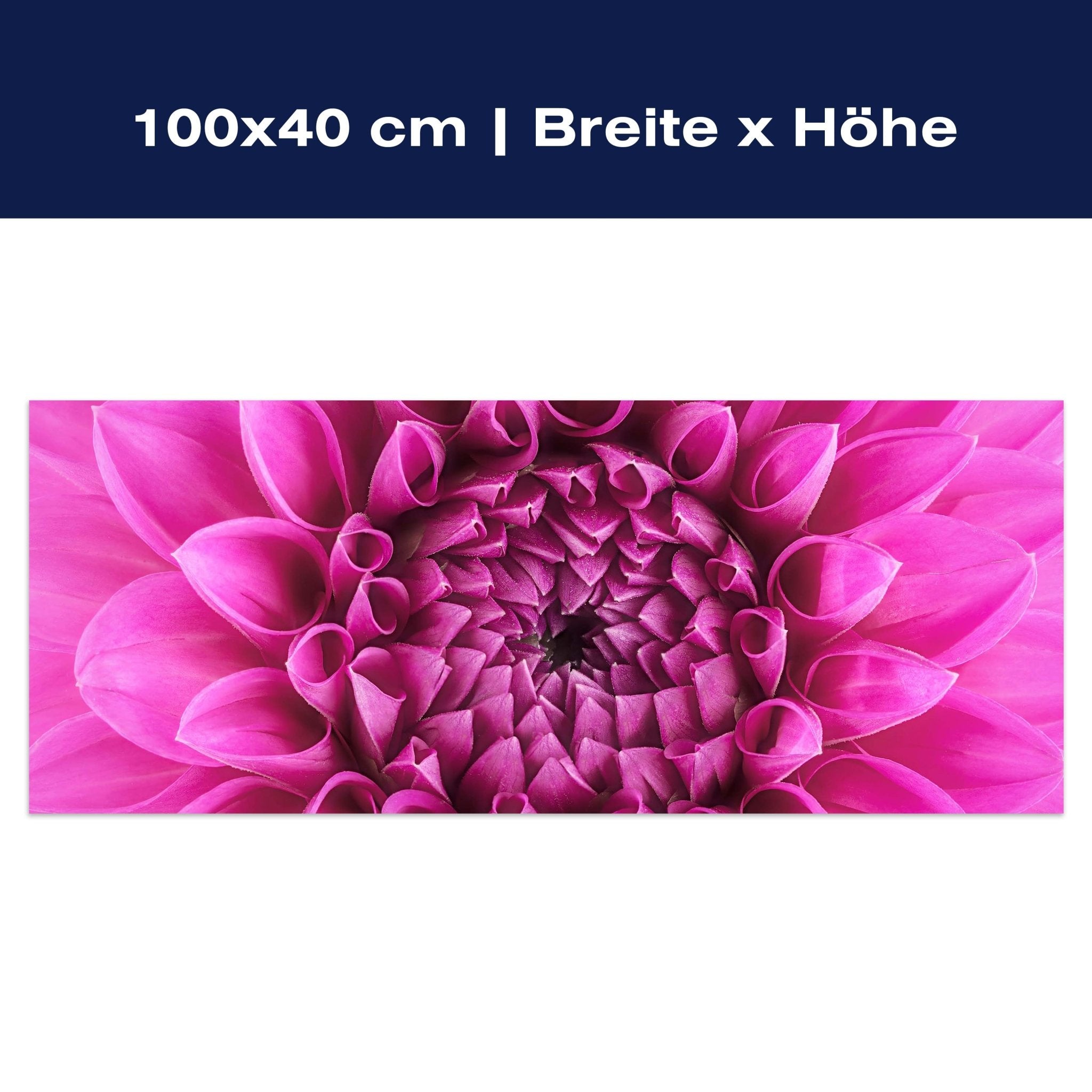 Leinwandbild Blume Blüte rosa Chrysantheme M1127