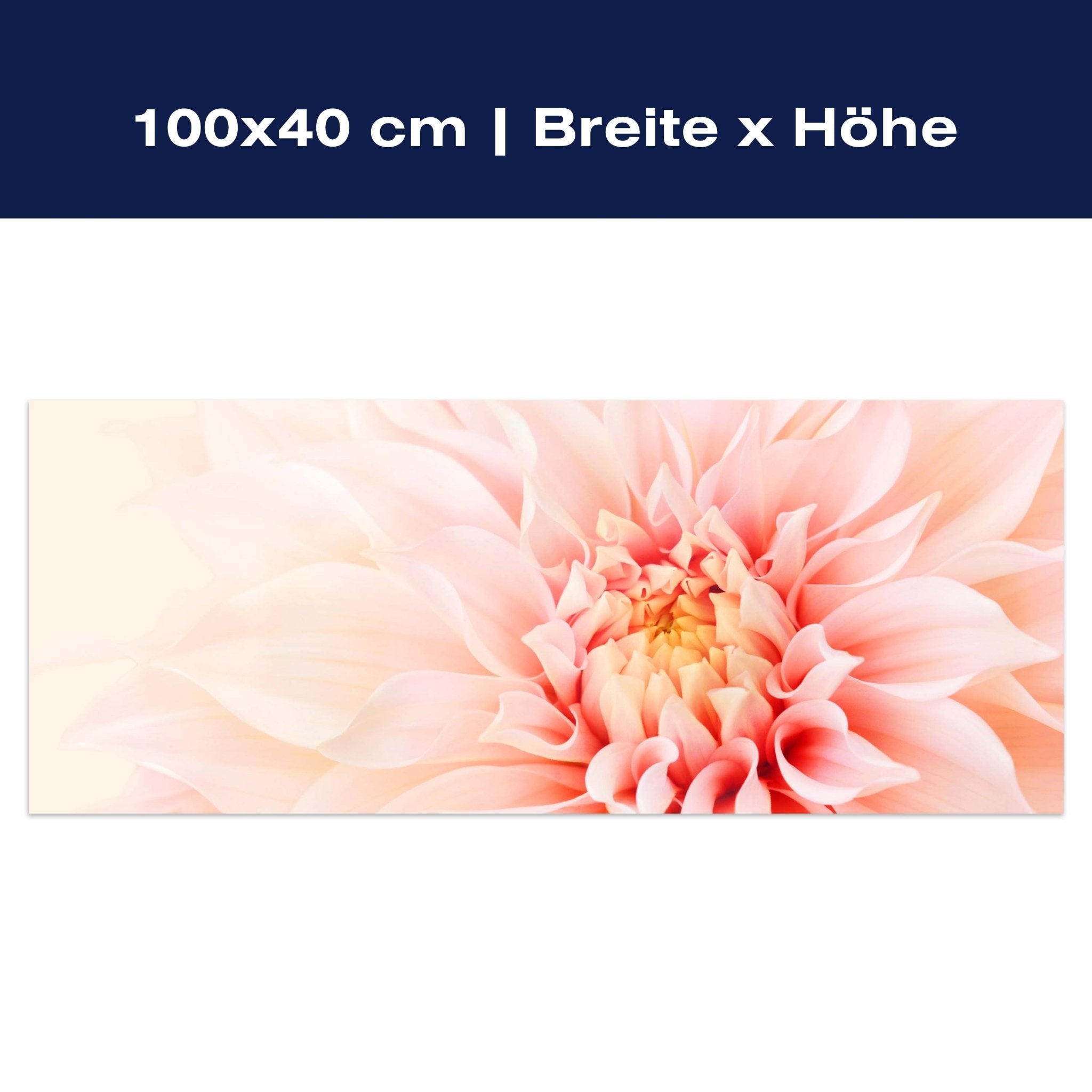 Leinwandbild Blüte Blume rosa Dahlie M1131