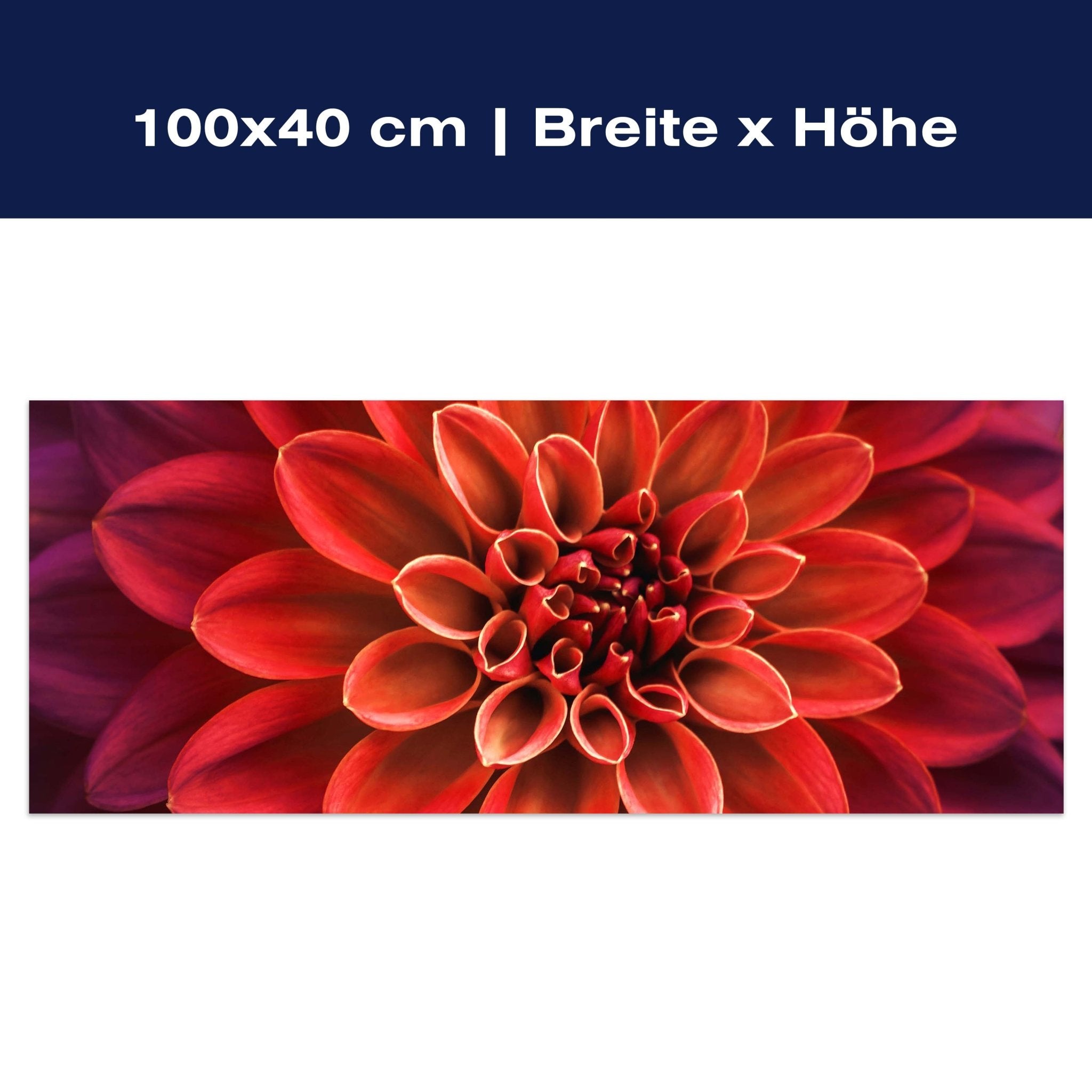 Leinwandbild Blüte Blume orange Dahlie violett M1133