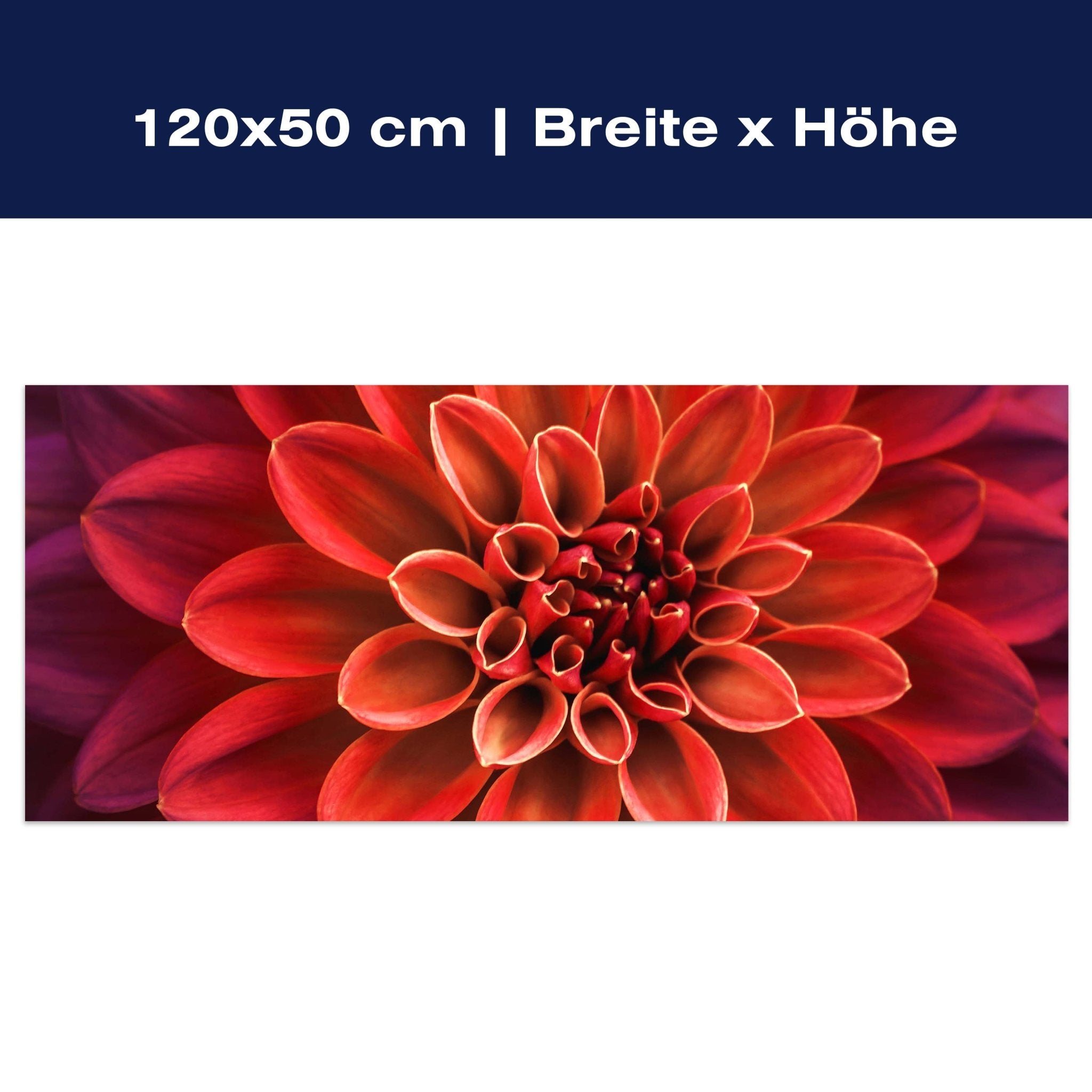 Leinwandbild Blüte Blume orange Dahlie violett M1133