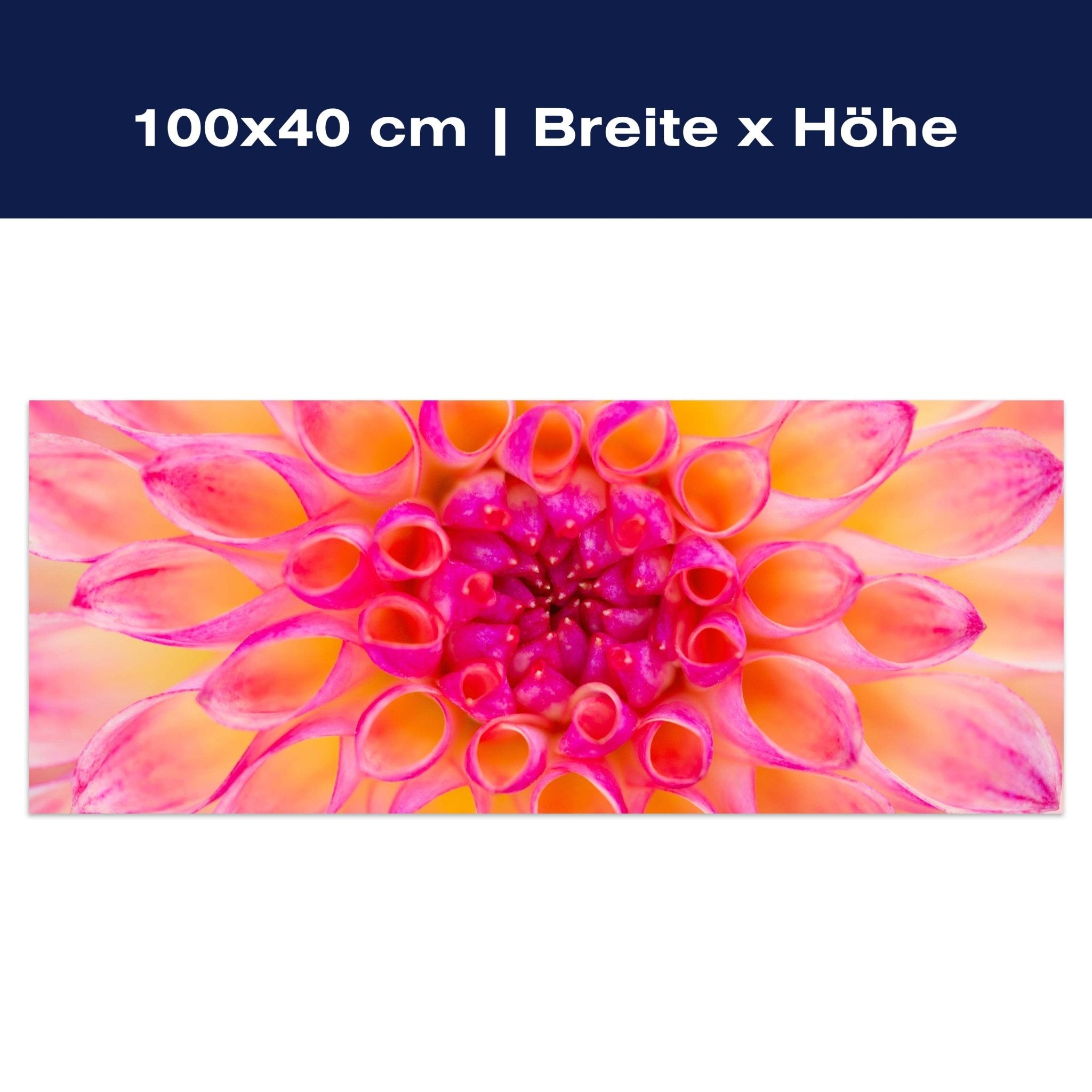 Leinwandbild bunte Dahlie Blüte Blume rosa gelb M1134