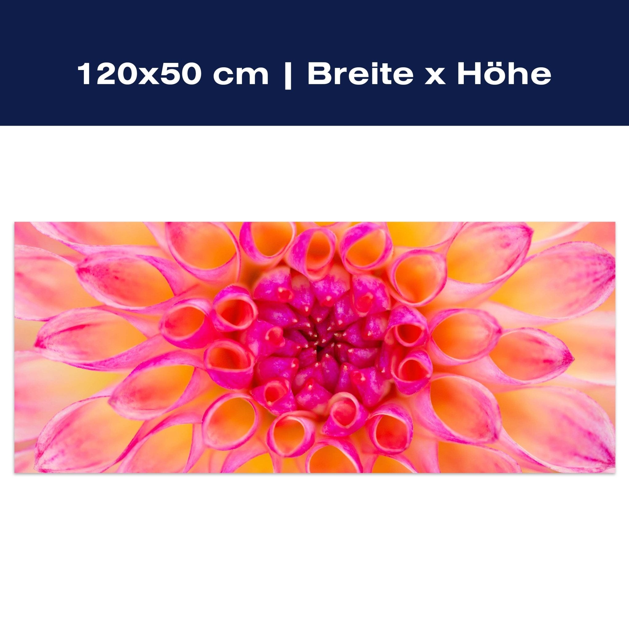 Leinwandbild bunte Dahlie Blüte Blume rosa gelb M1134