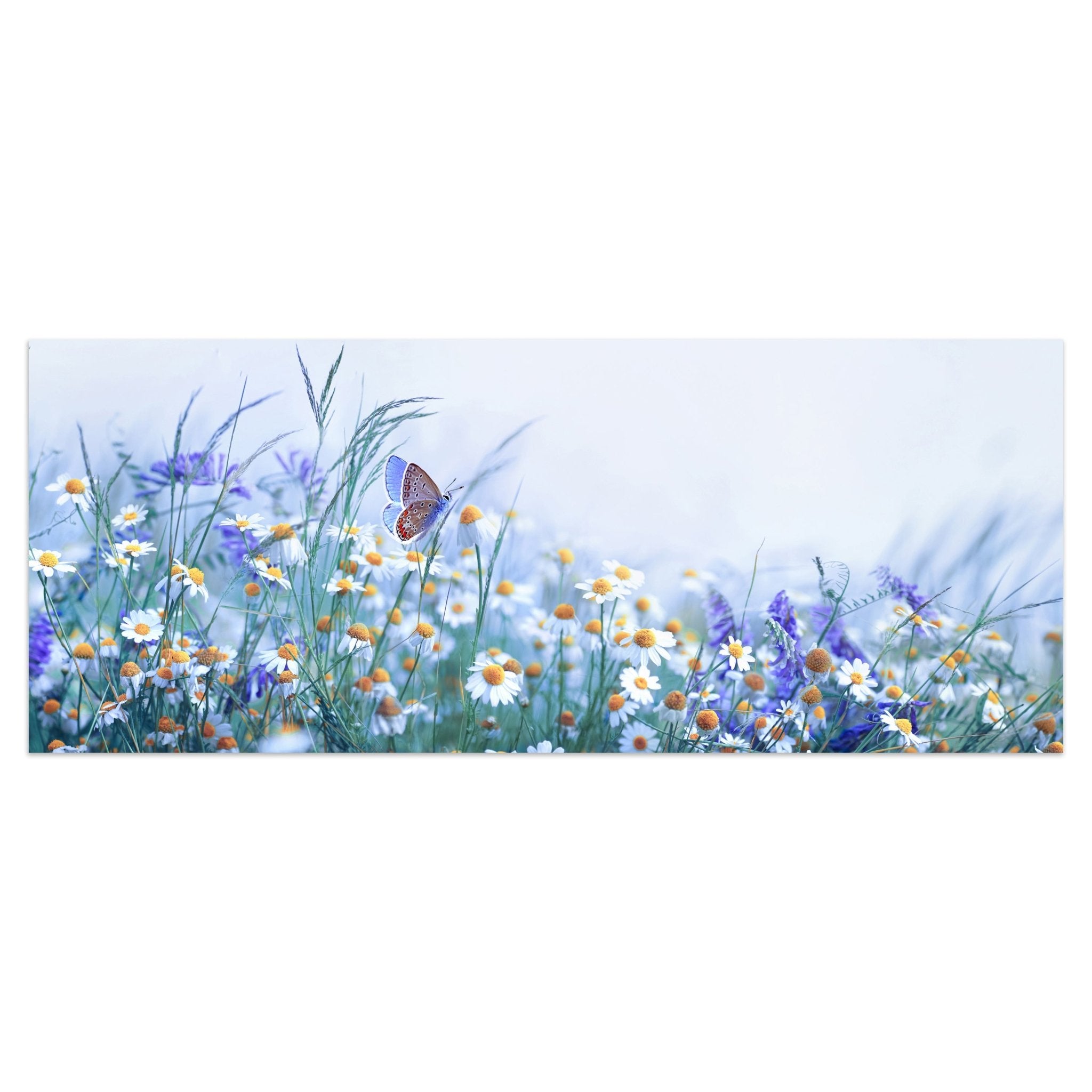 Leinwandbild Blumen, Schmetterling, Natur Landschaft M1149 kaufen - Bild 1