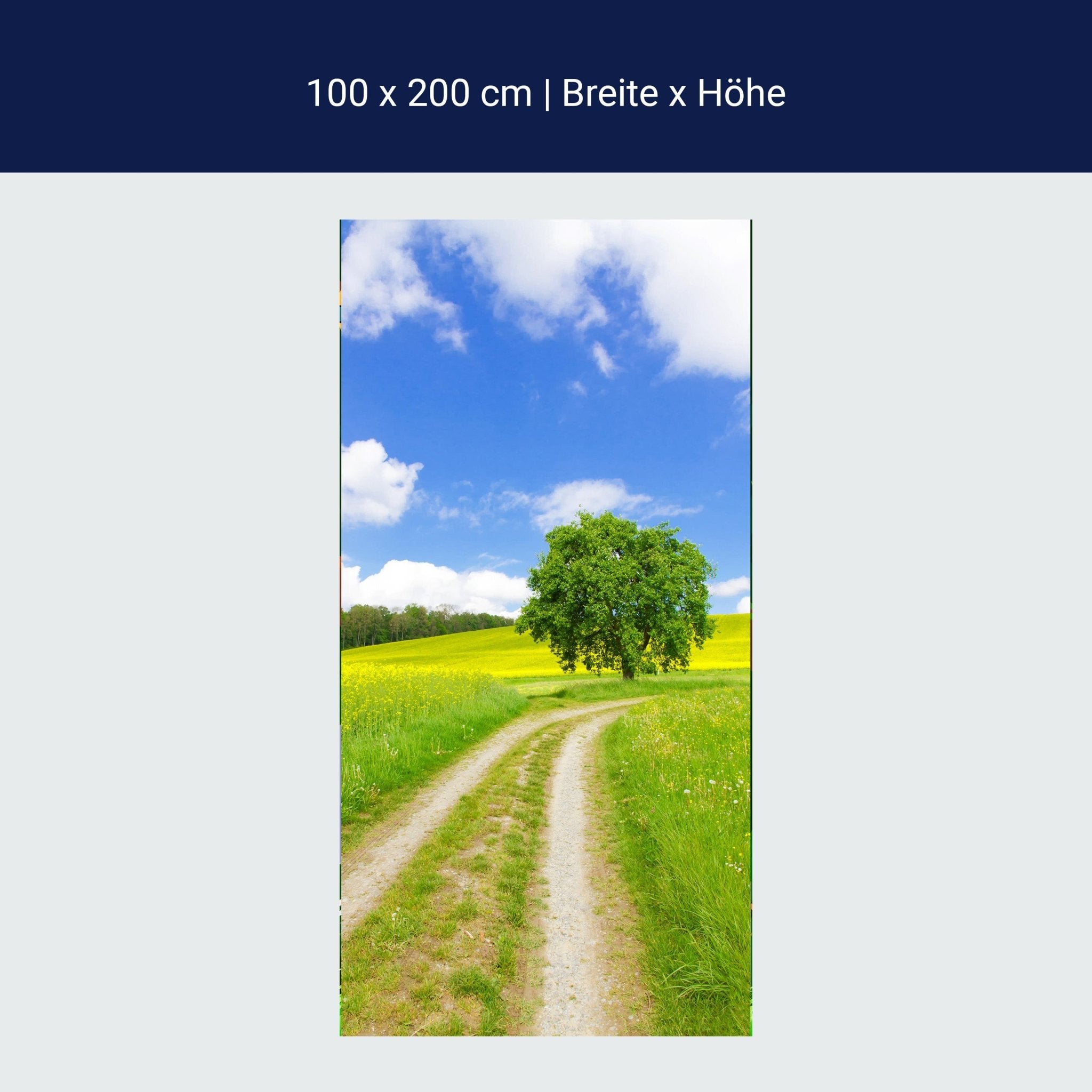 Türtapete Feldweg im Sommer, Baum, Feld, Himmel M1240