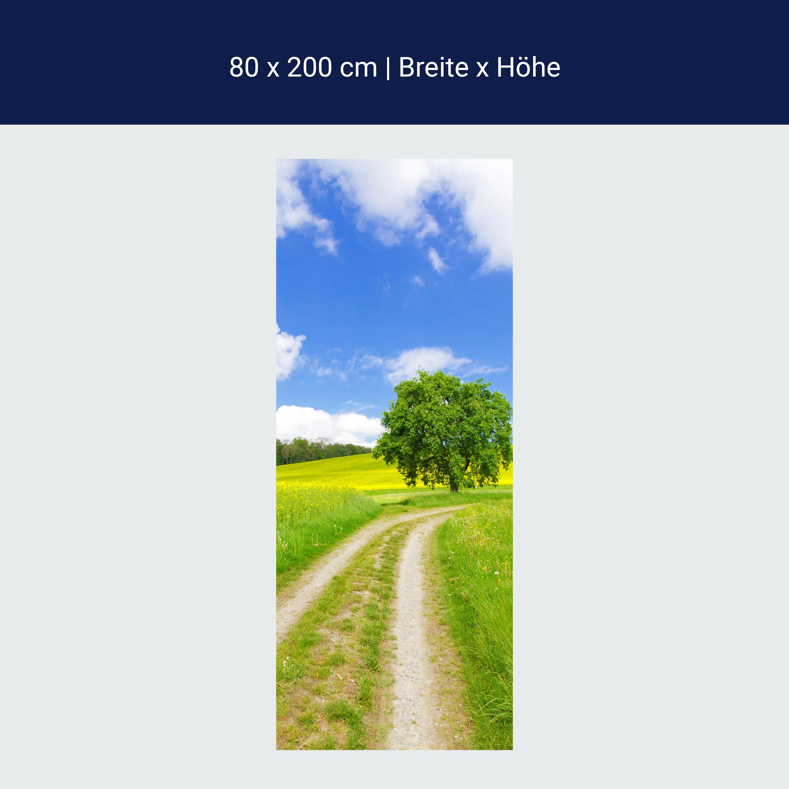 Türtapete Feldweg im Sommer, Baum, Feld, Himmel M1240