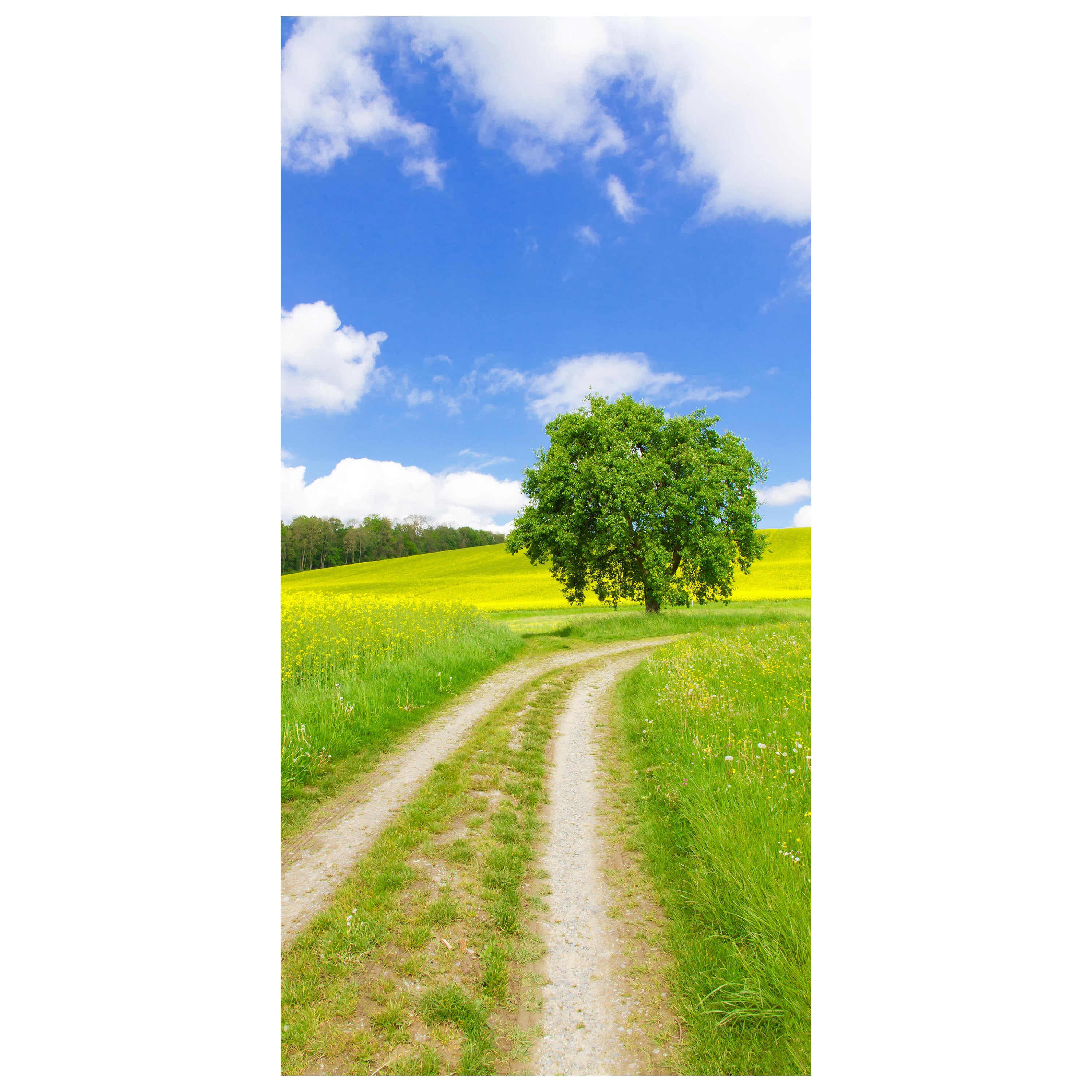 Türtapete Feldweg im Sommer, Baum, Feld, Himmel M1240 - Bild 2