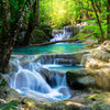 Türtapete Wasser Treppen im Wald, Natur, Bäume M1295