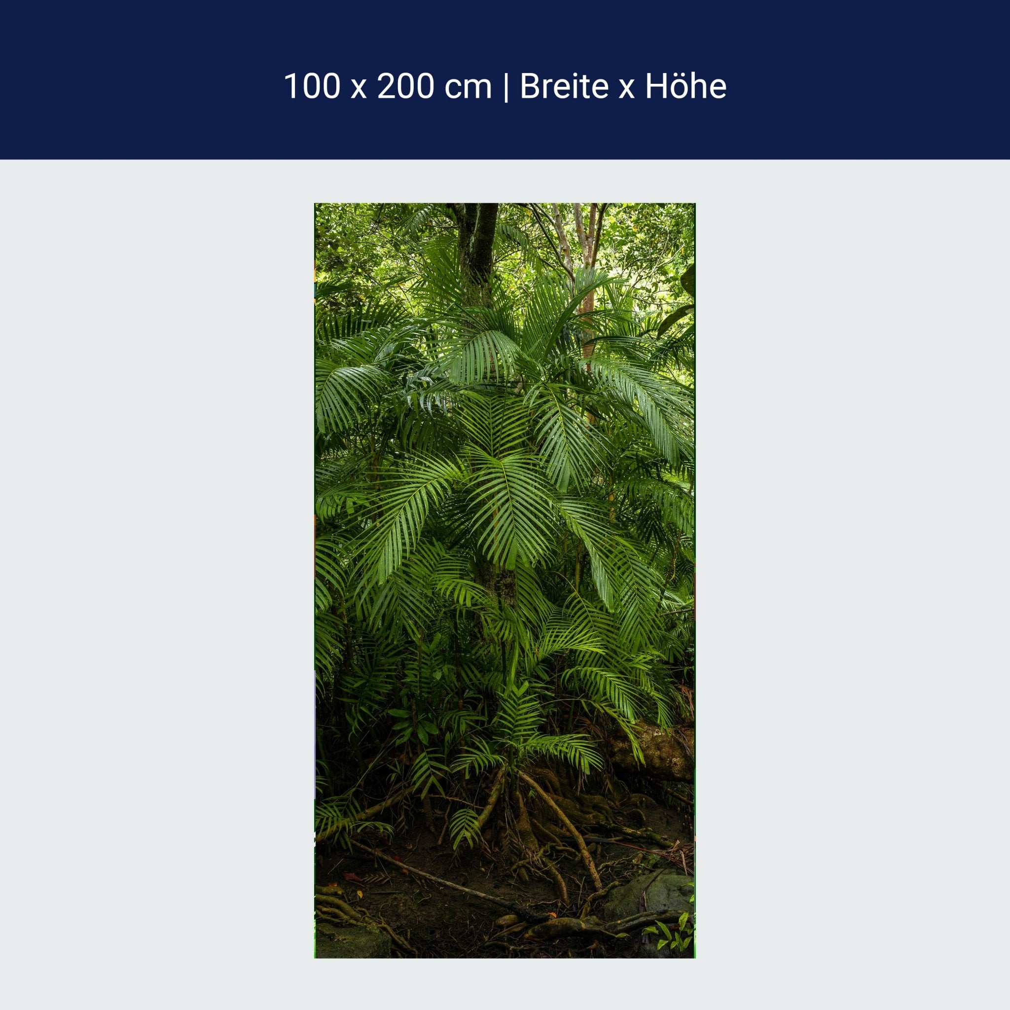 Türtapete Palmenwedel, Dschungel, Palme, Urwald M1354