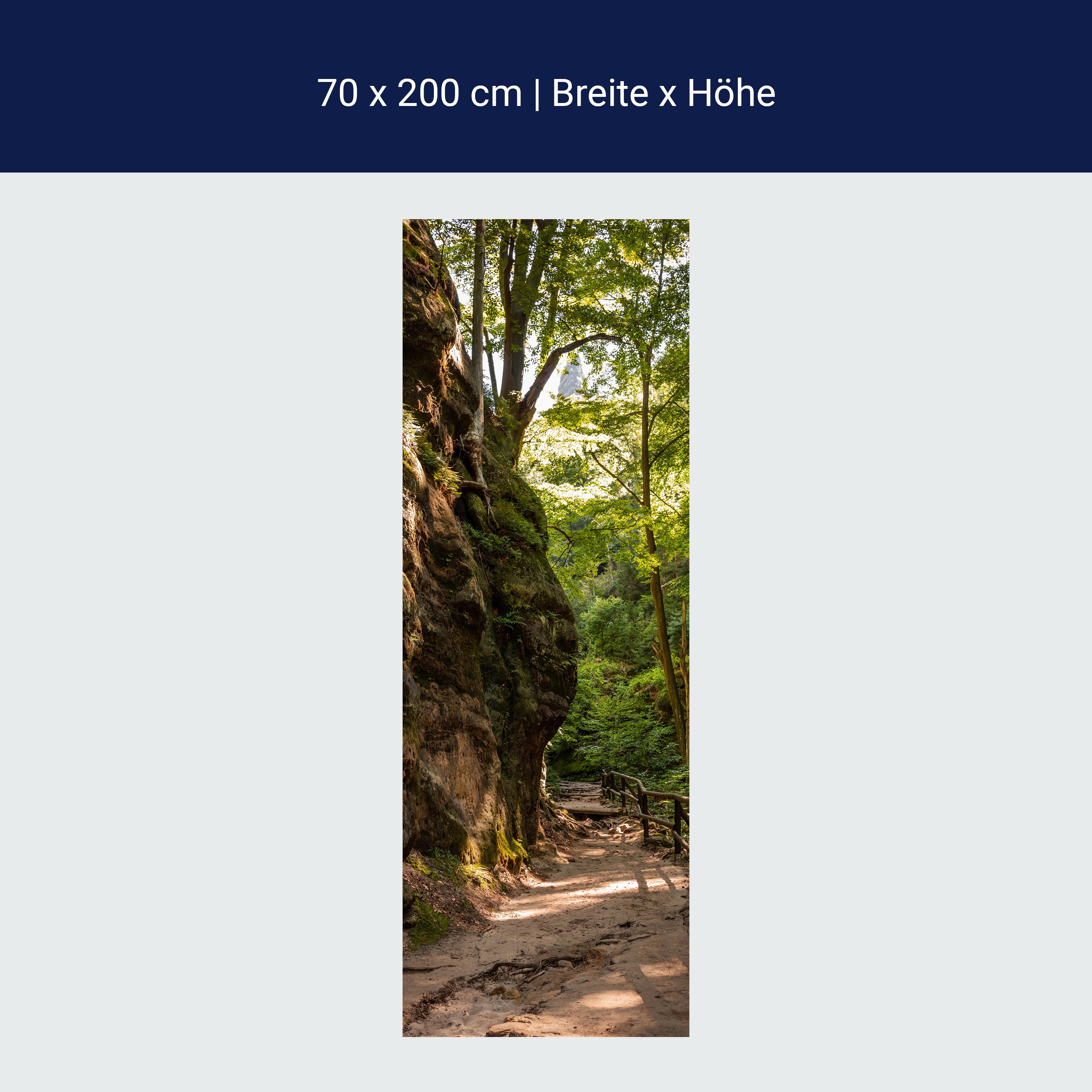 Türtapete Wanderweg im Wald, Felsen, Bäume, Natur M1393