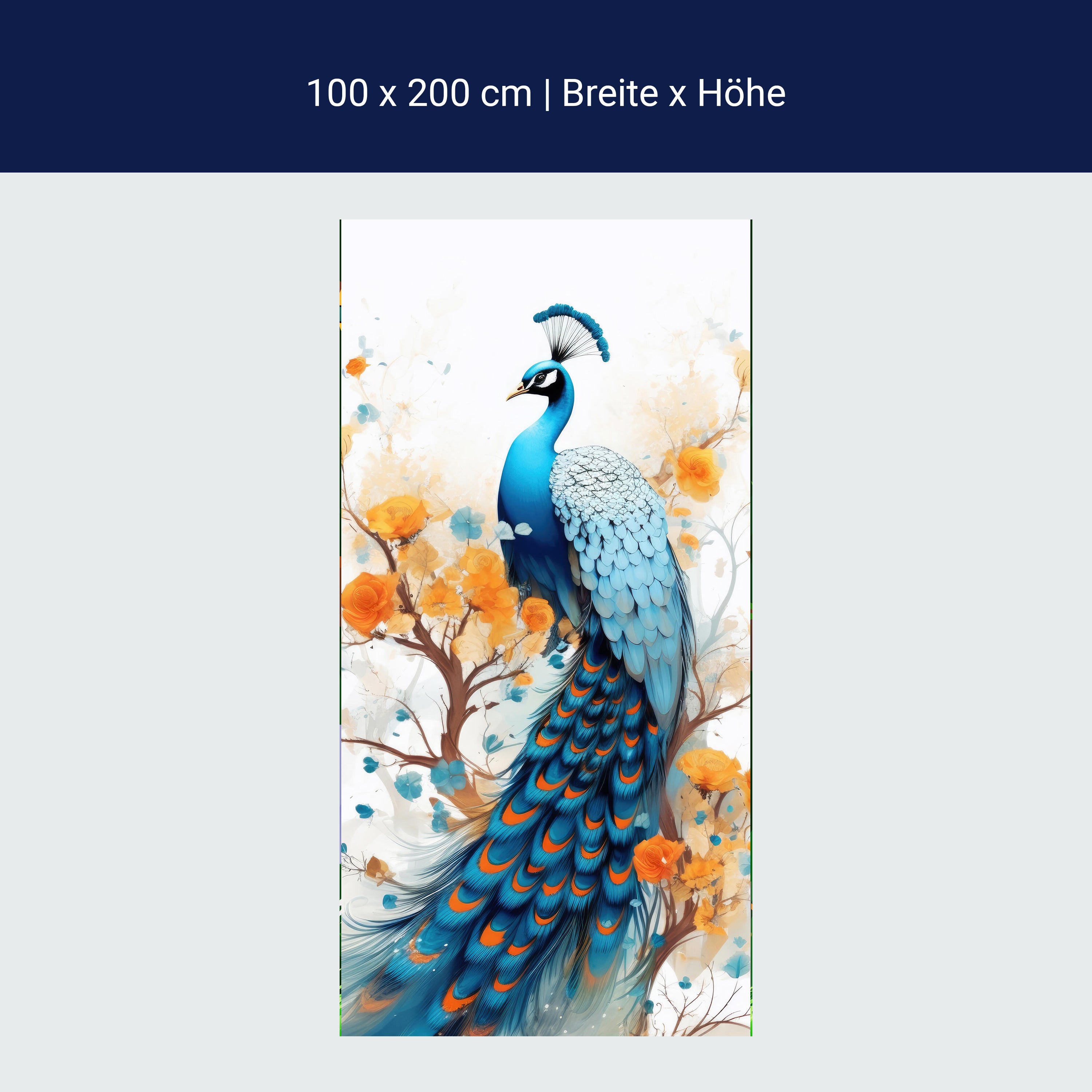 Türtapete Pfau, Illustration, Federn M1455