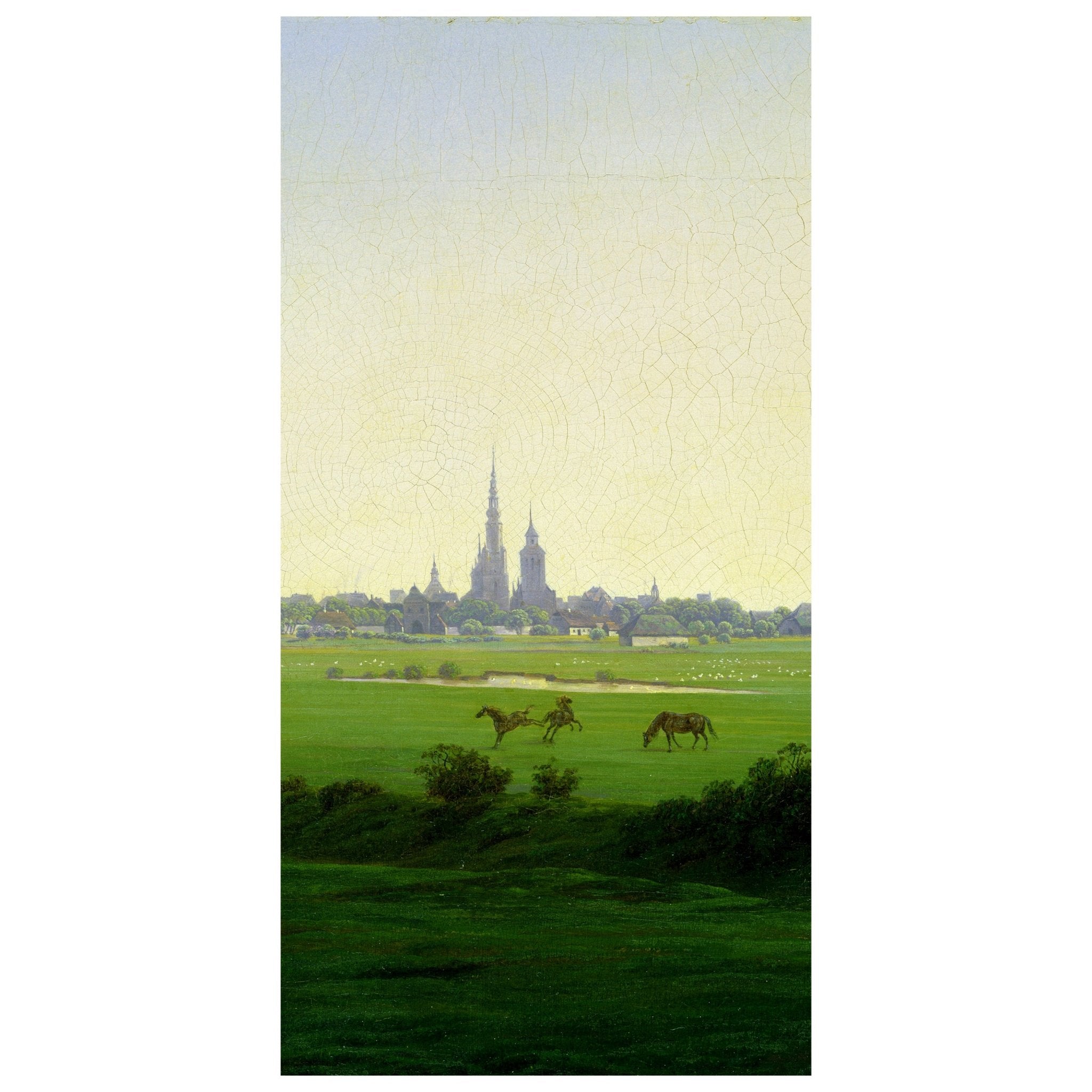 Türtapete Greifswalder Weiden Caspar David Friedrich M1544 - Bild 2