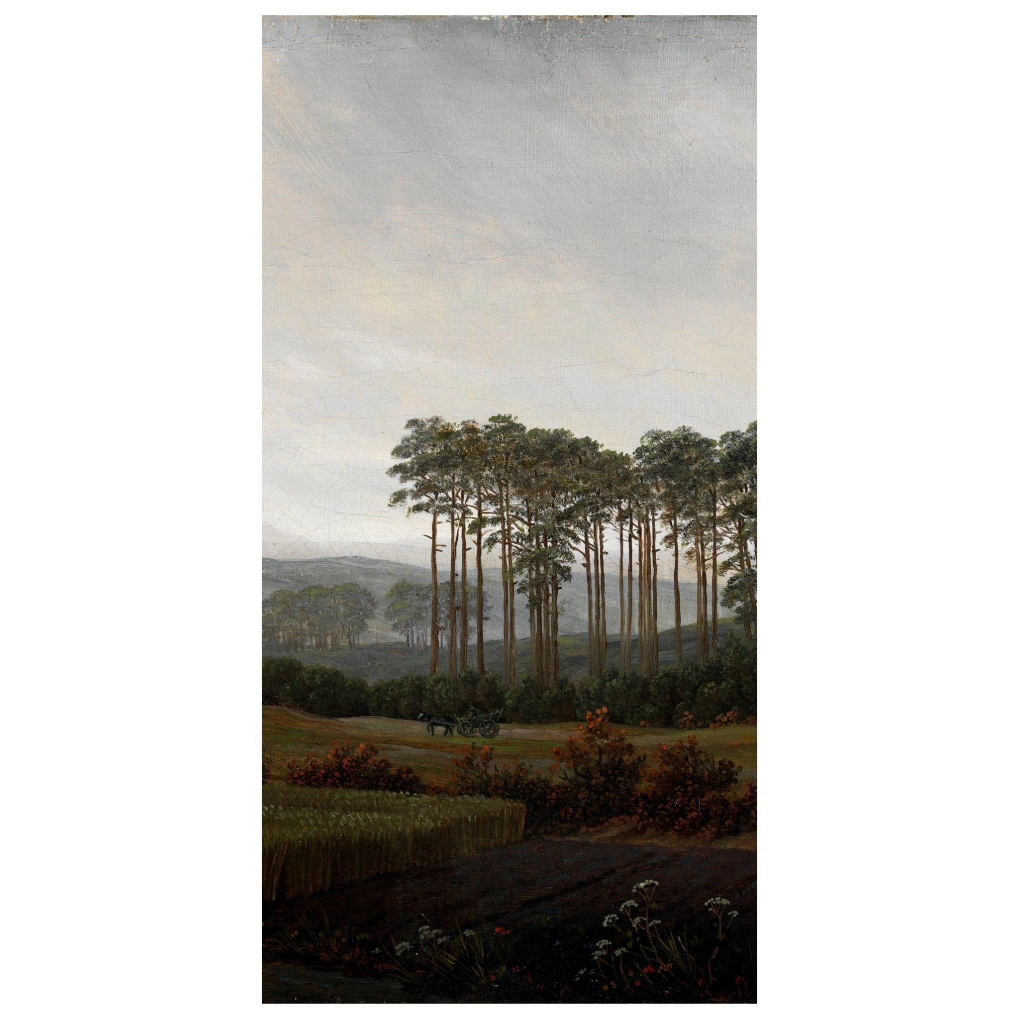 Türtapete Baumgruppe Caspar David Friedrich M1548 - Bild 2