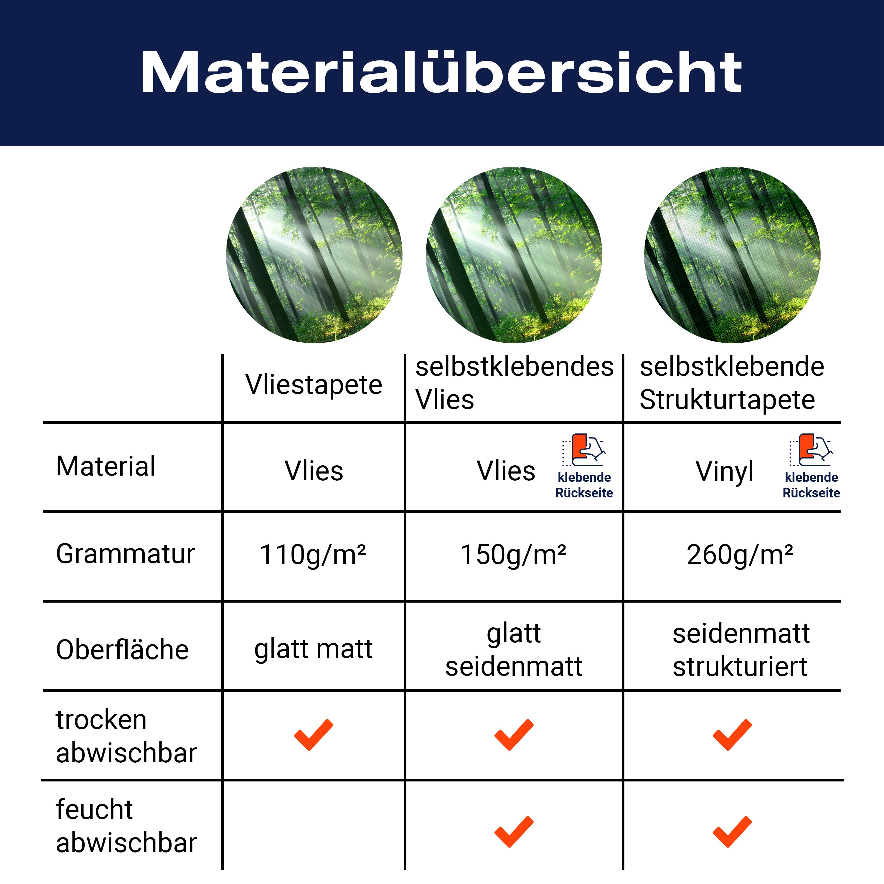 Fototapete Wald Sonnenstrahlen Nebel M5677 - Bild 8