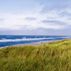 Panorama-Fototapete Strand auf Sylt M0036