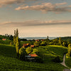 Panorama-Fototapete Idyllisches Weingut M0044