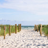 Panorama-Fototapete Ostsee, Strand M0051