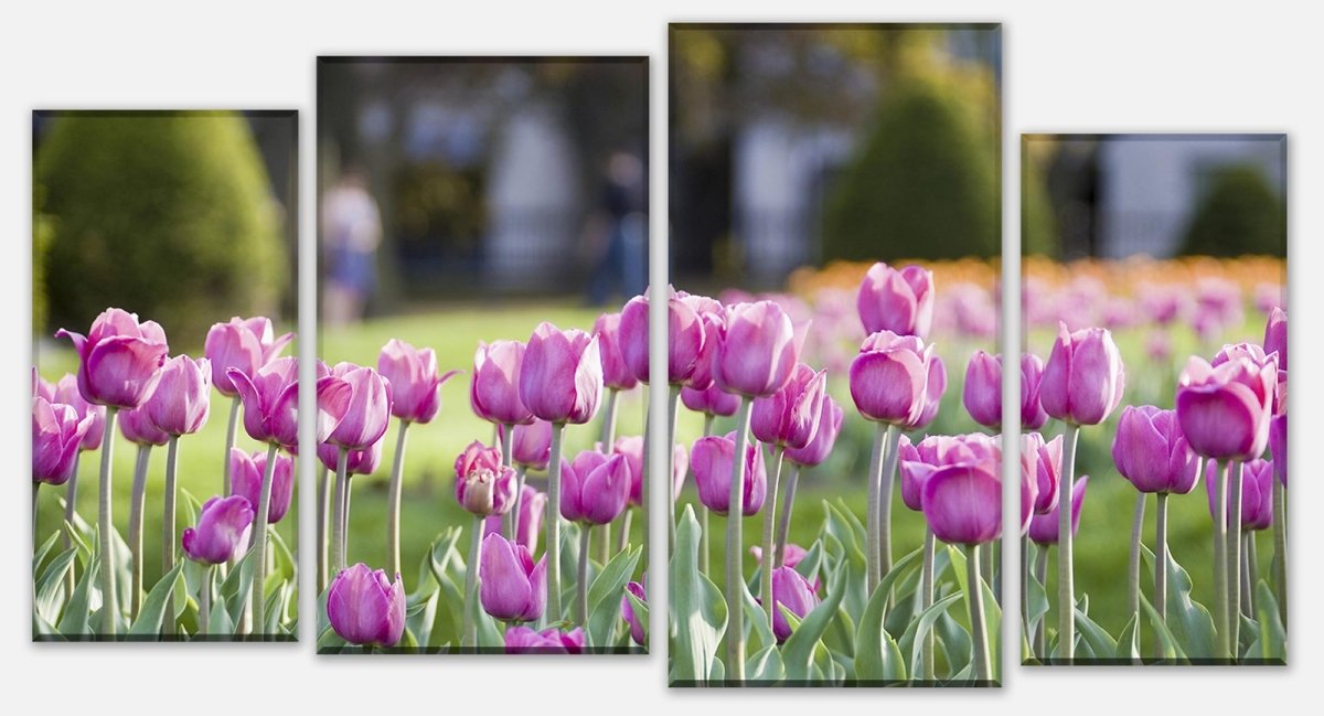 Leinwandbild Mehrteiler Pinke Tulpen M0016