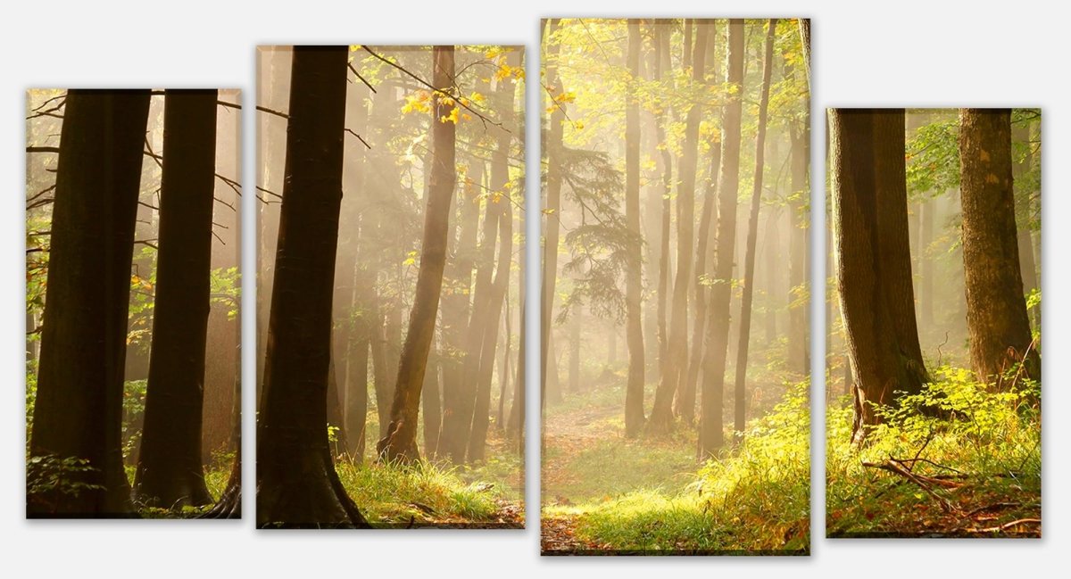 Leinwandbild Mehrteiler Waldweg M0024