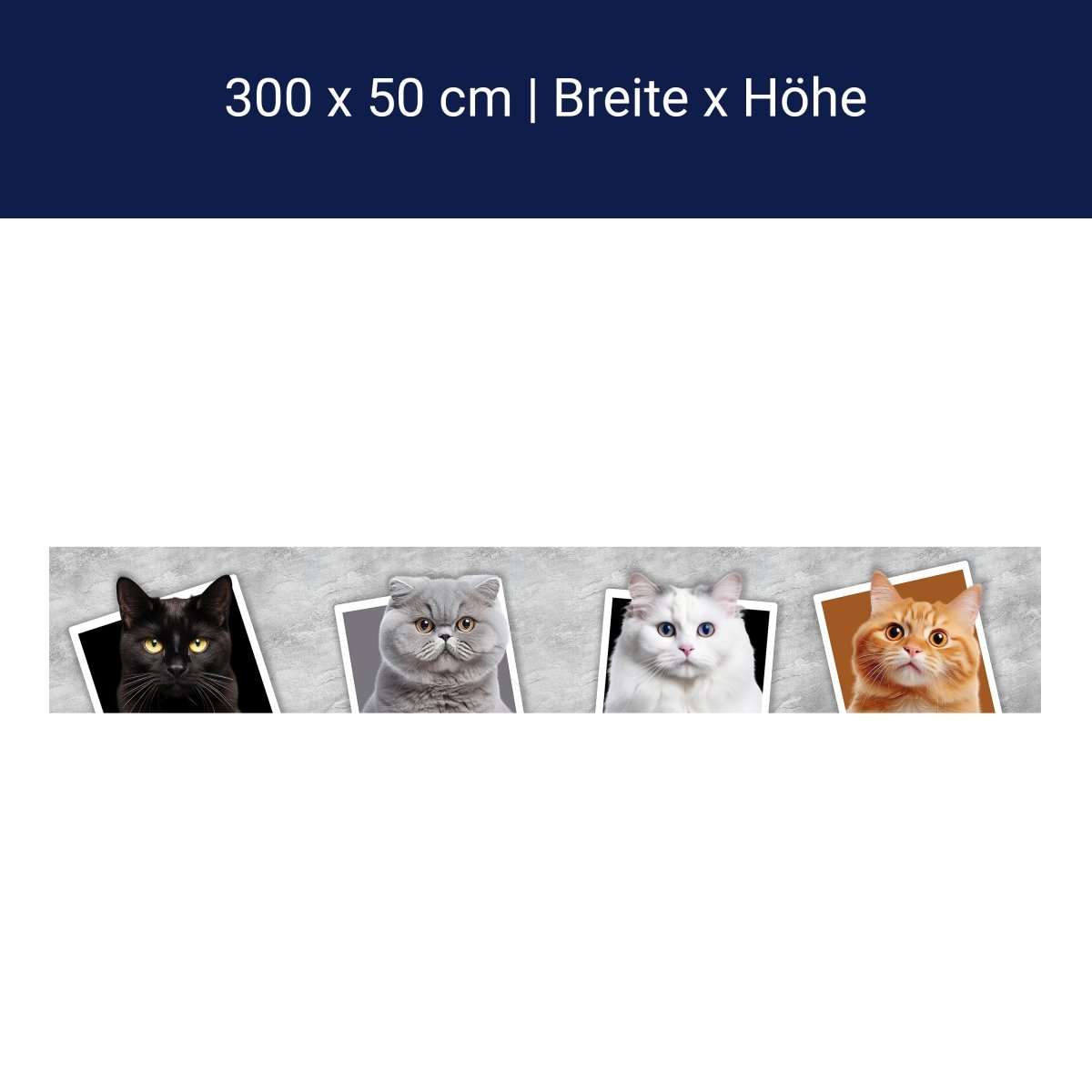 Panorama-Fototapete Katzen Collage M0034