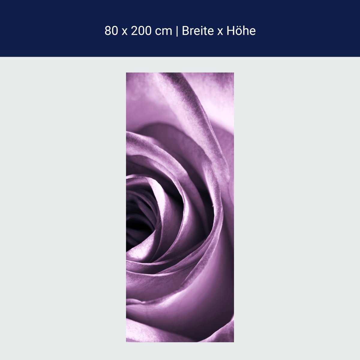 Duschwand violette Rose M0051