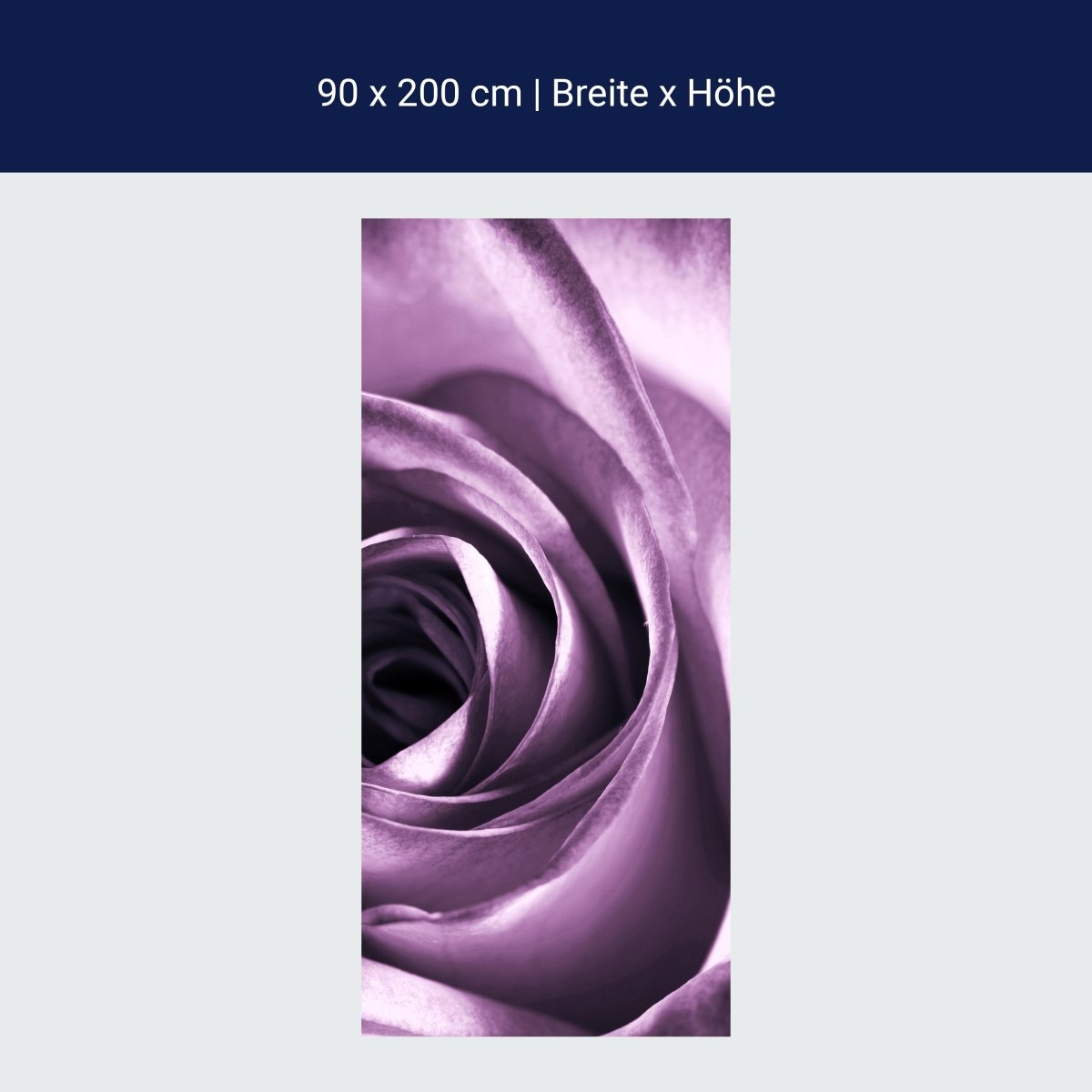 Duschwand violette Rose M0051