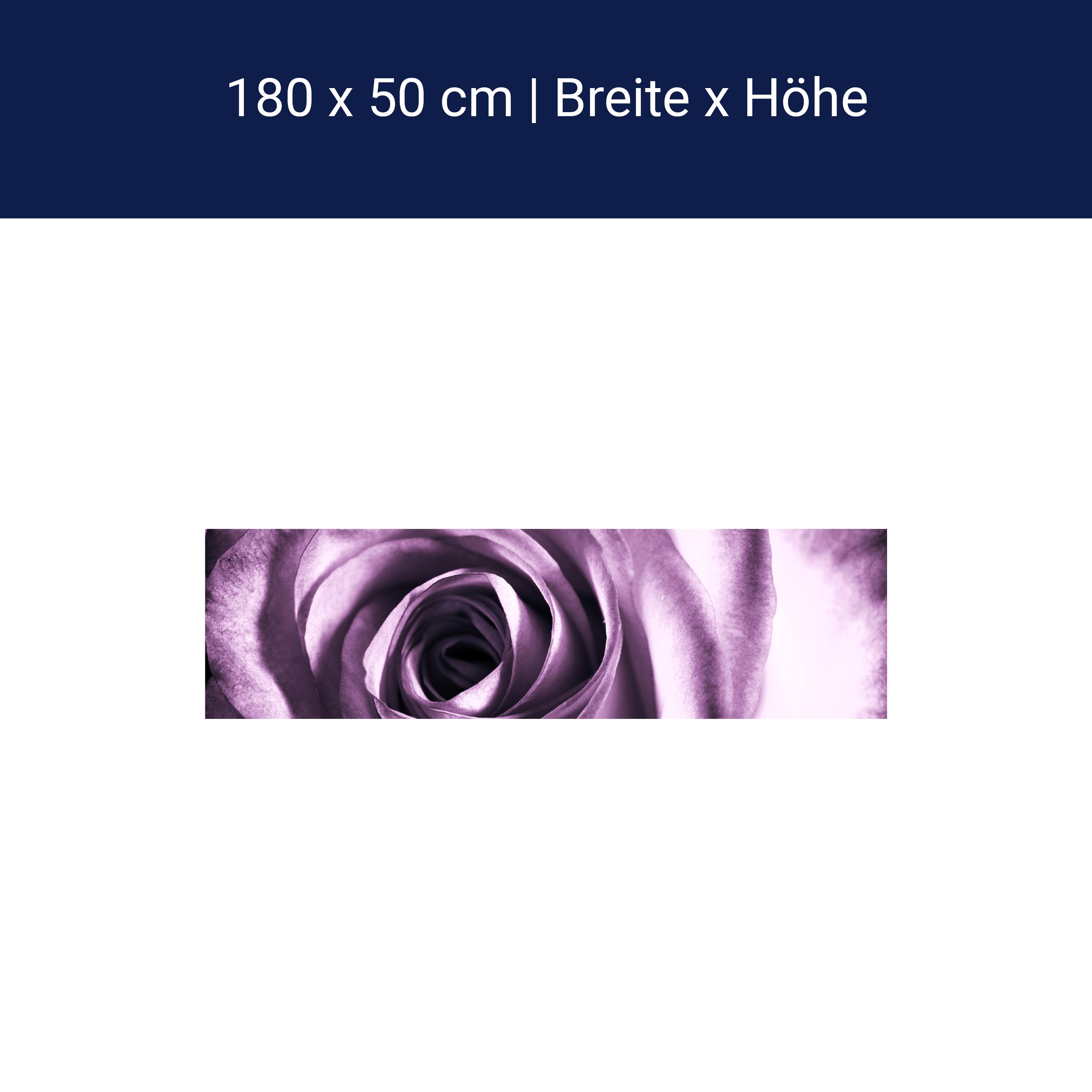 Küchenrückwand violette Rose M0051