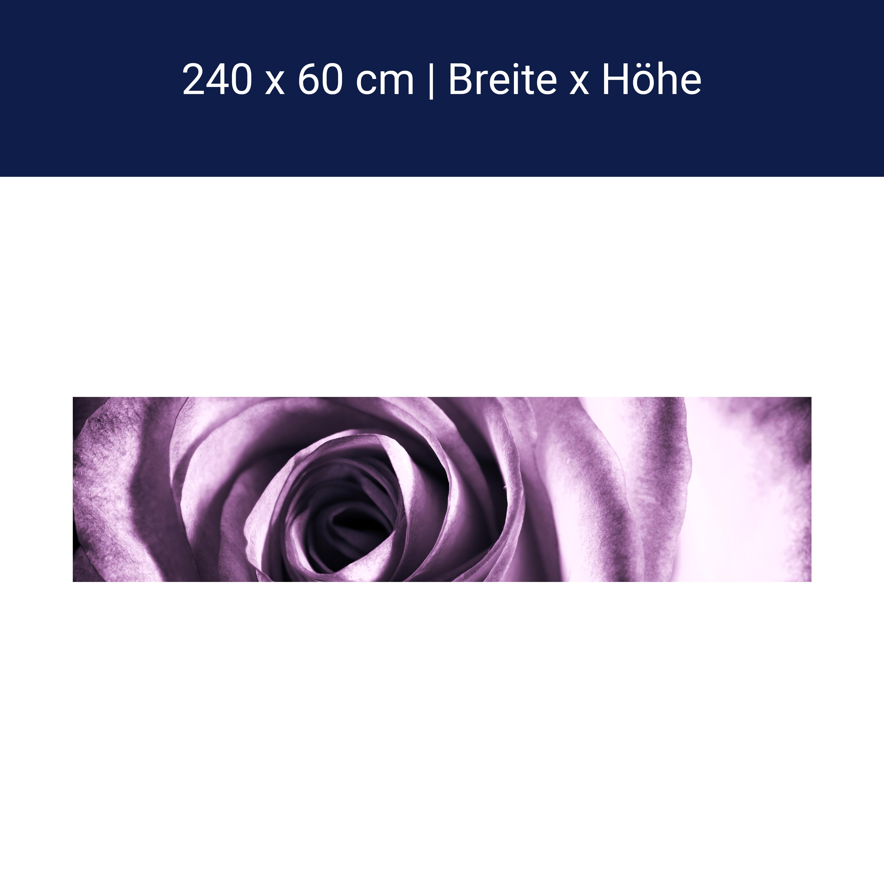 Küchenrückwand violette Rose M0051