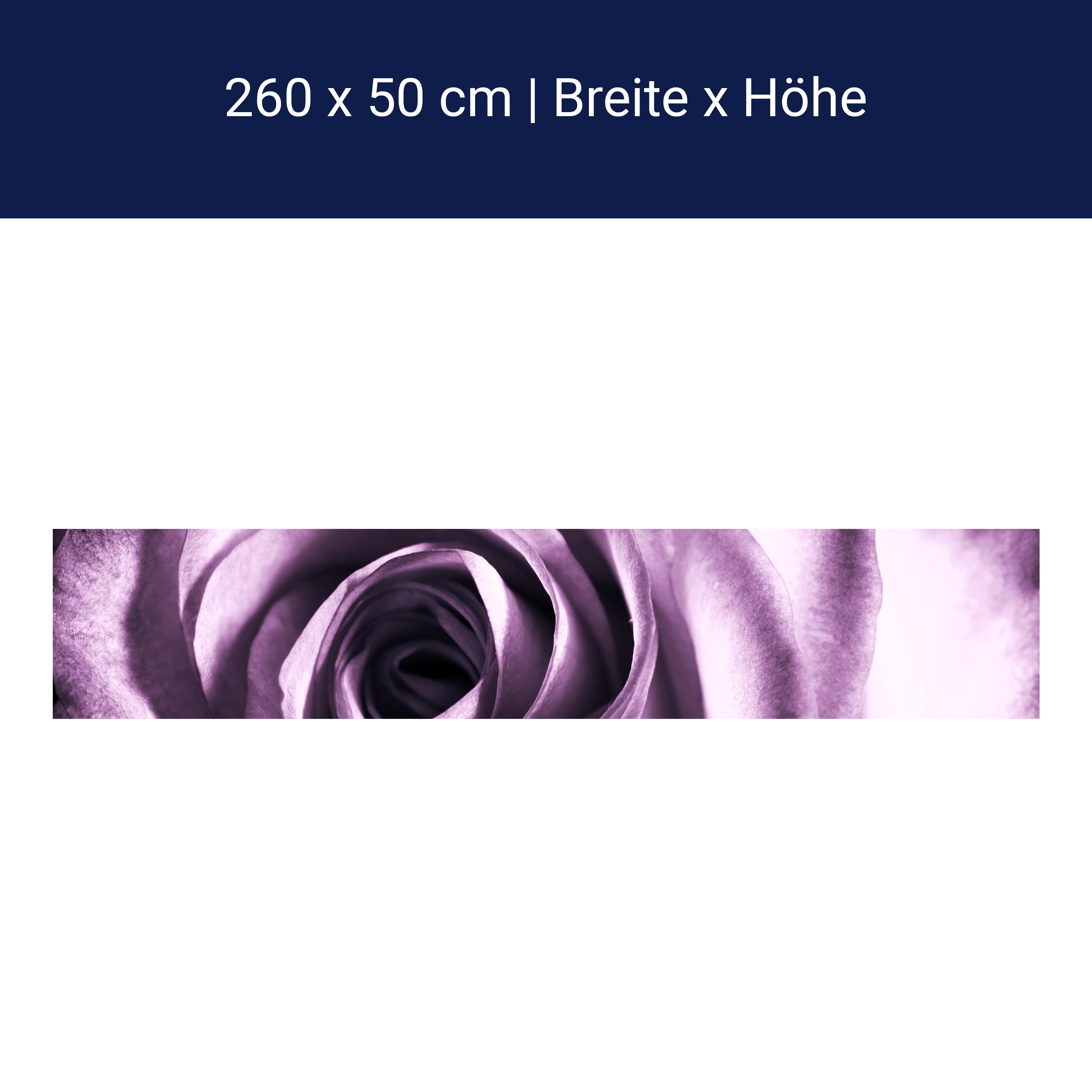 Küchenrückwand violette Rose M0051