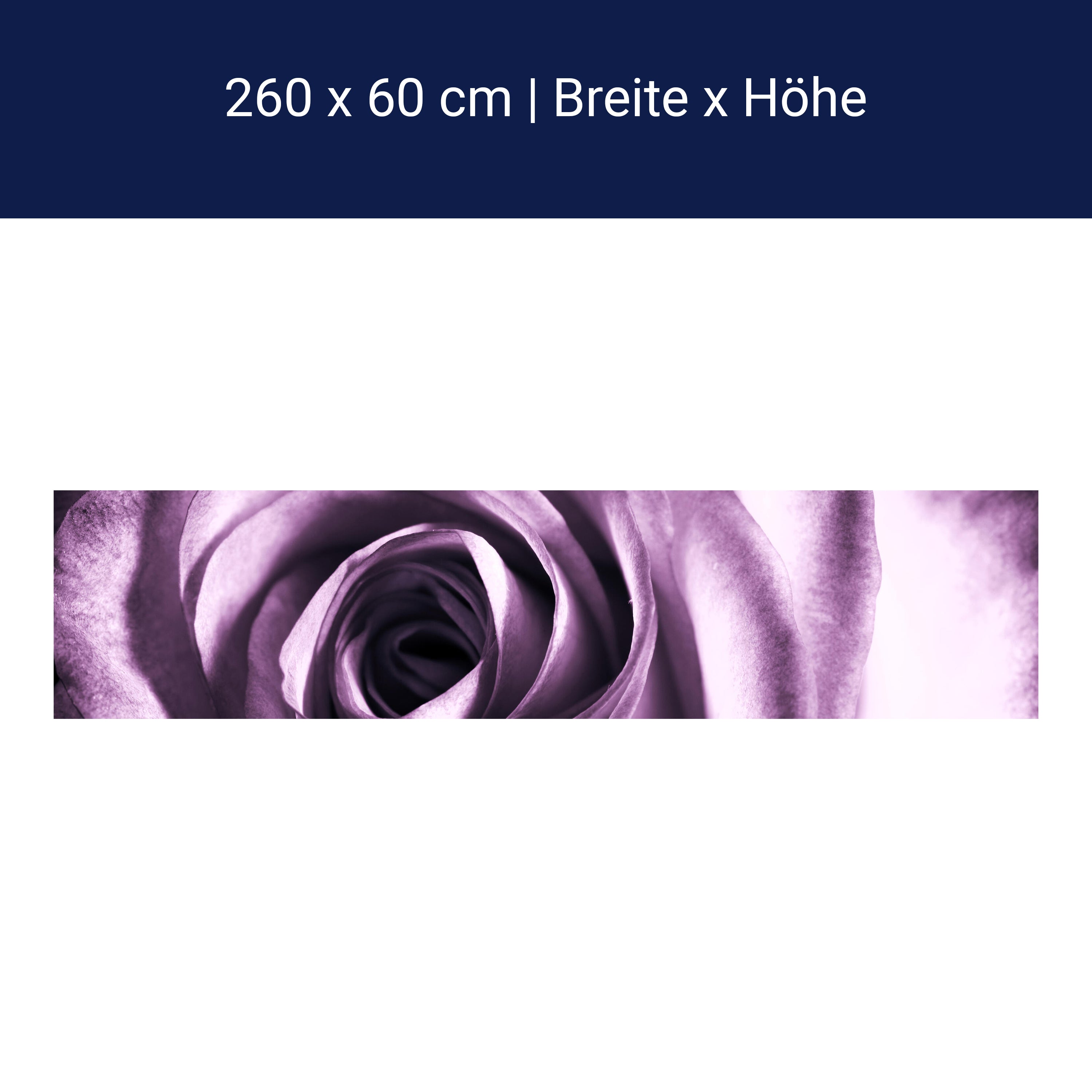 Küchenrückwand violette Rose M0051