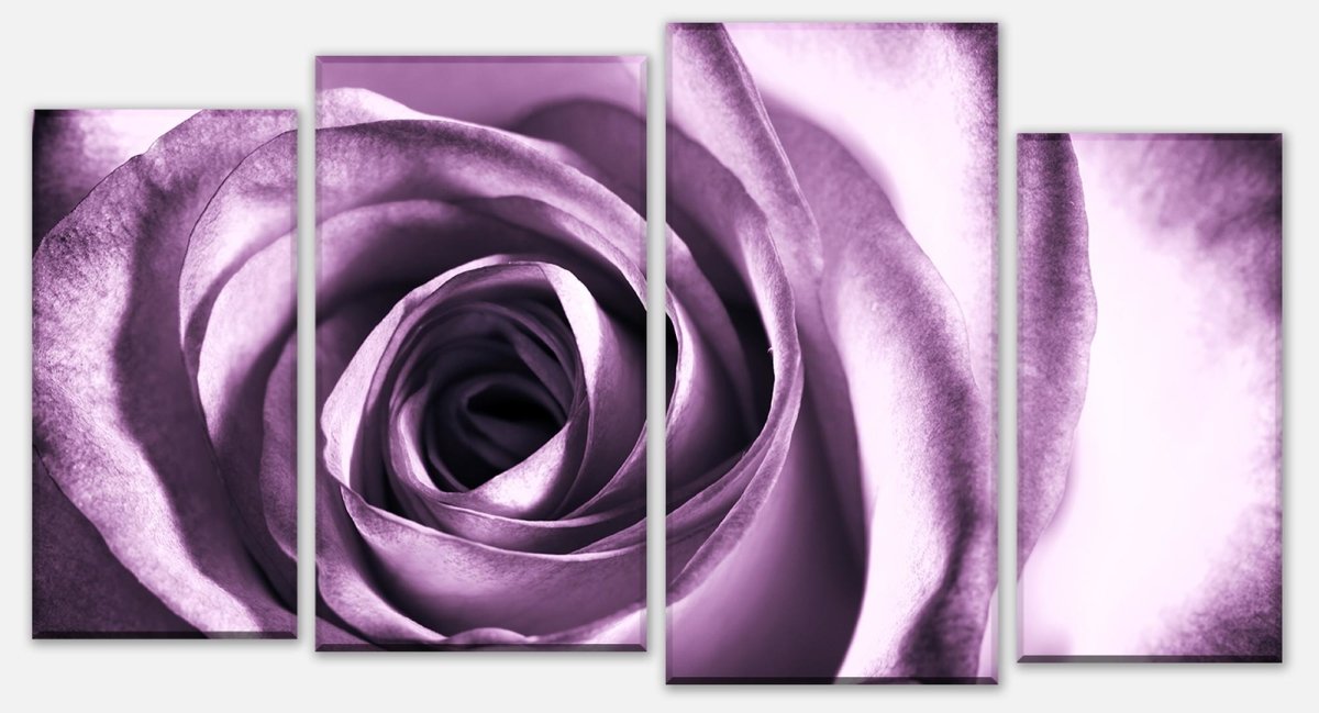 Leinwandbild Mehrteiler violette Rose M0051