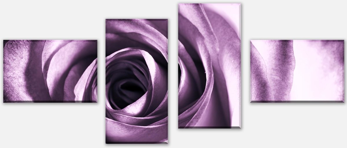 Leinwandbild Mehrteiler violette Rose M0051