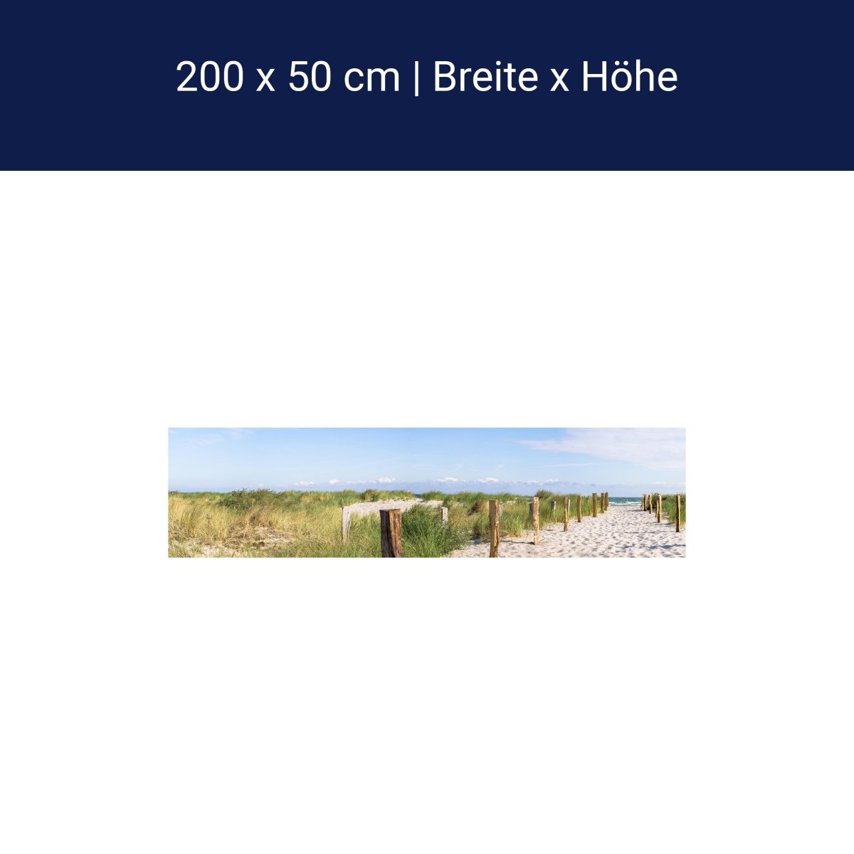 Panorama-Fototapete Ostsee, Strand M0051