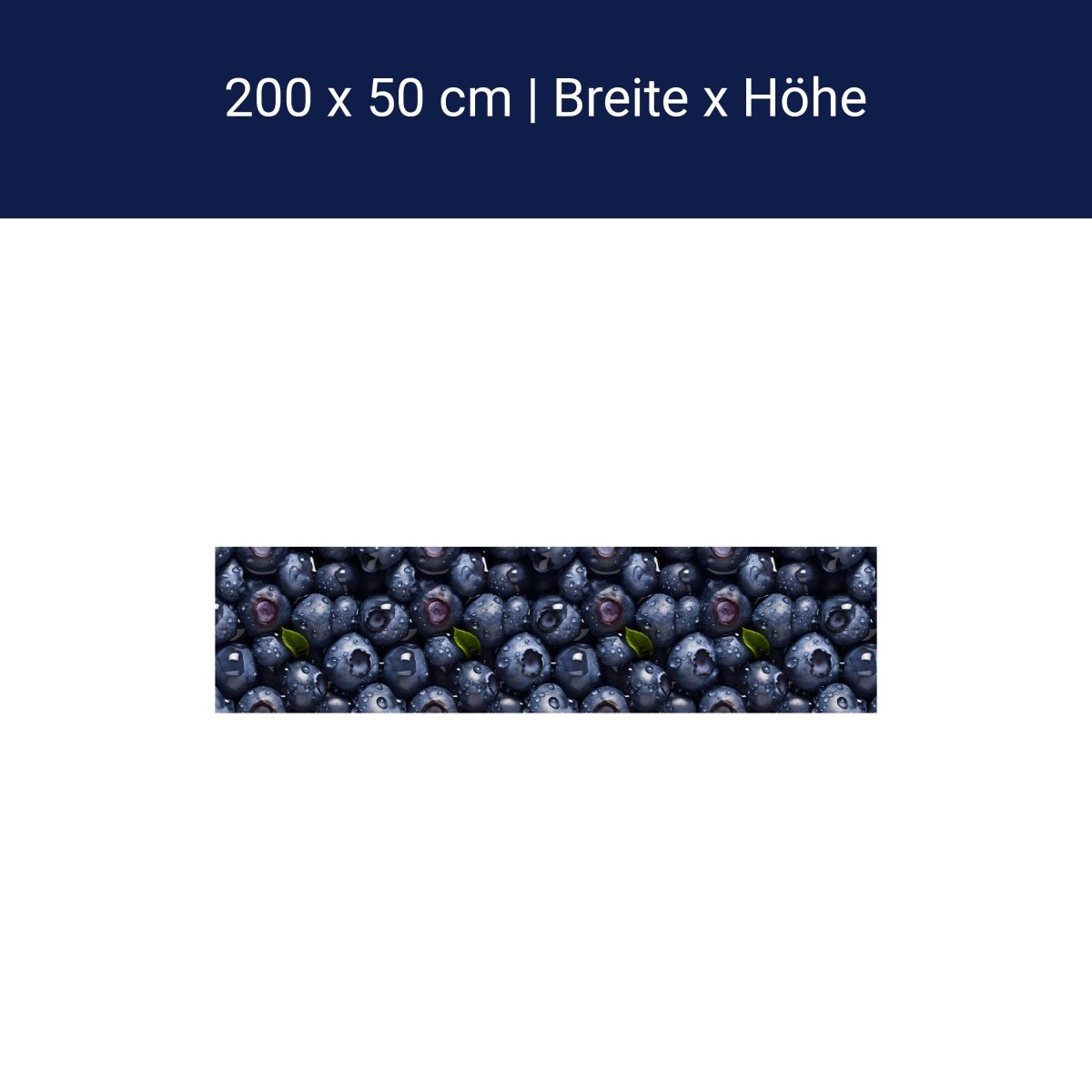 Panorama-Fototapete Blaubeeren M0094