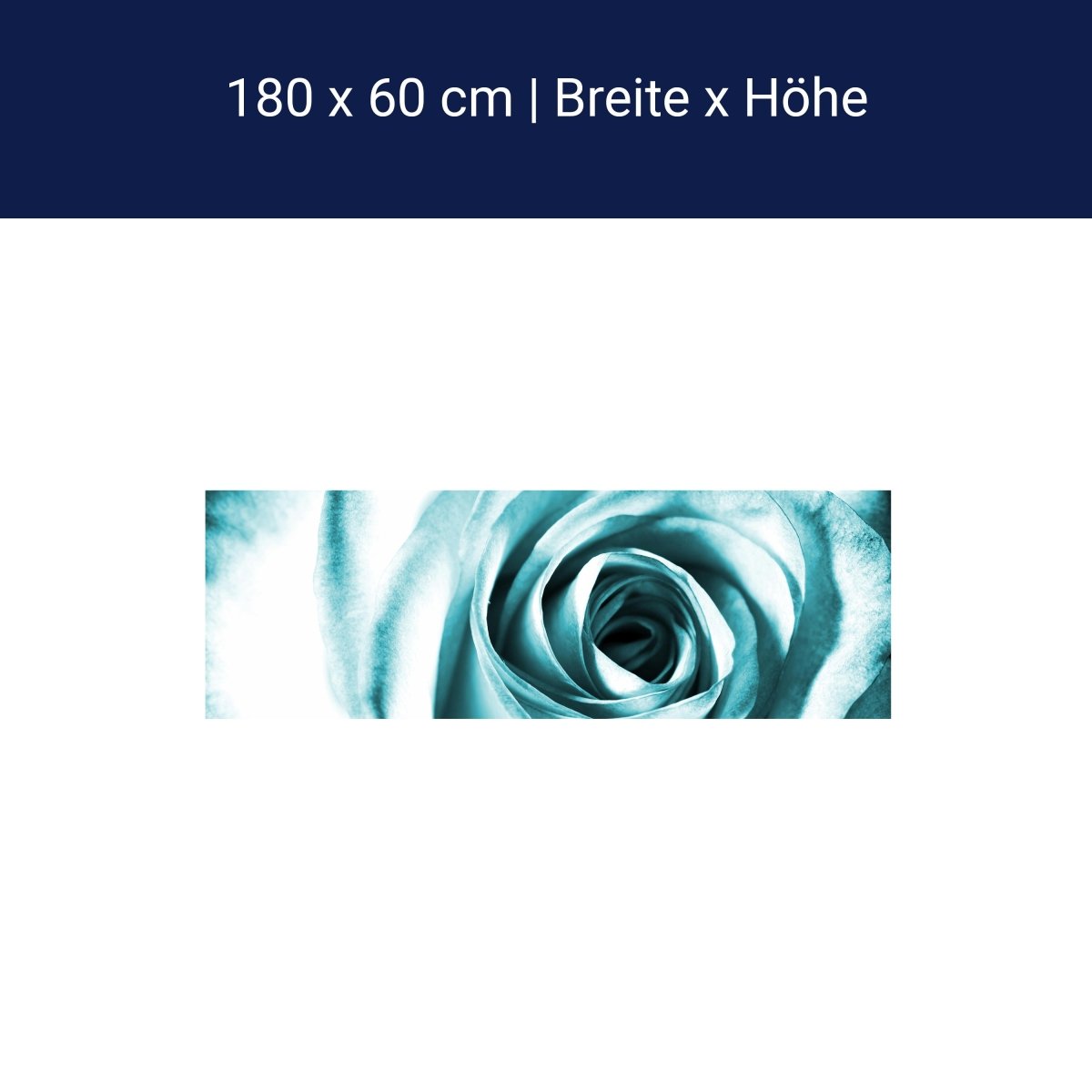 Küchenrückwand Blaue Rose Blüte M0227