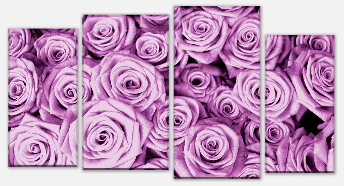 Leinwandbild Mehrteiler violettes Rosenfeld Blüte M0232