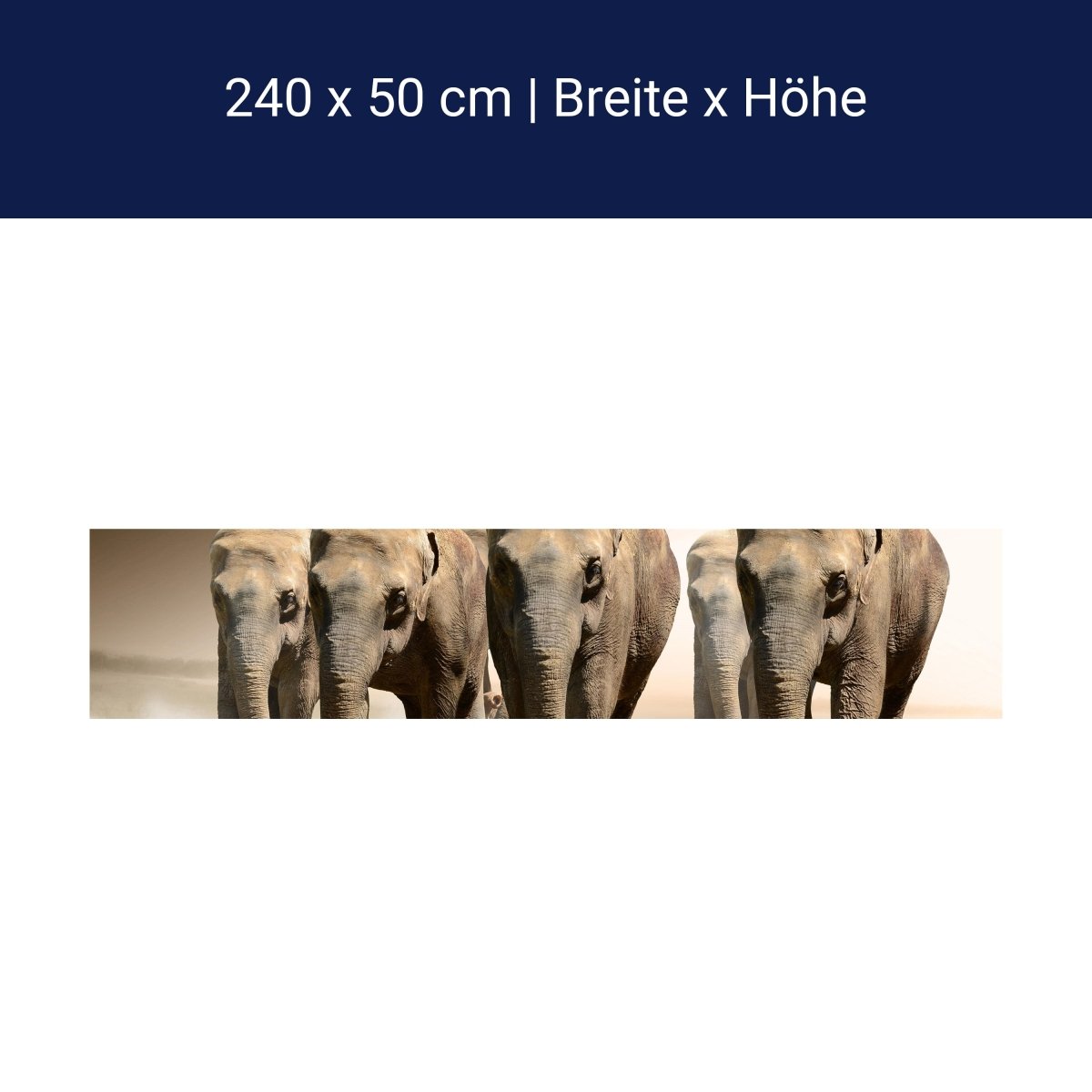 Küchenrückwand Elefantengruppe Afrika M0245