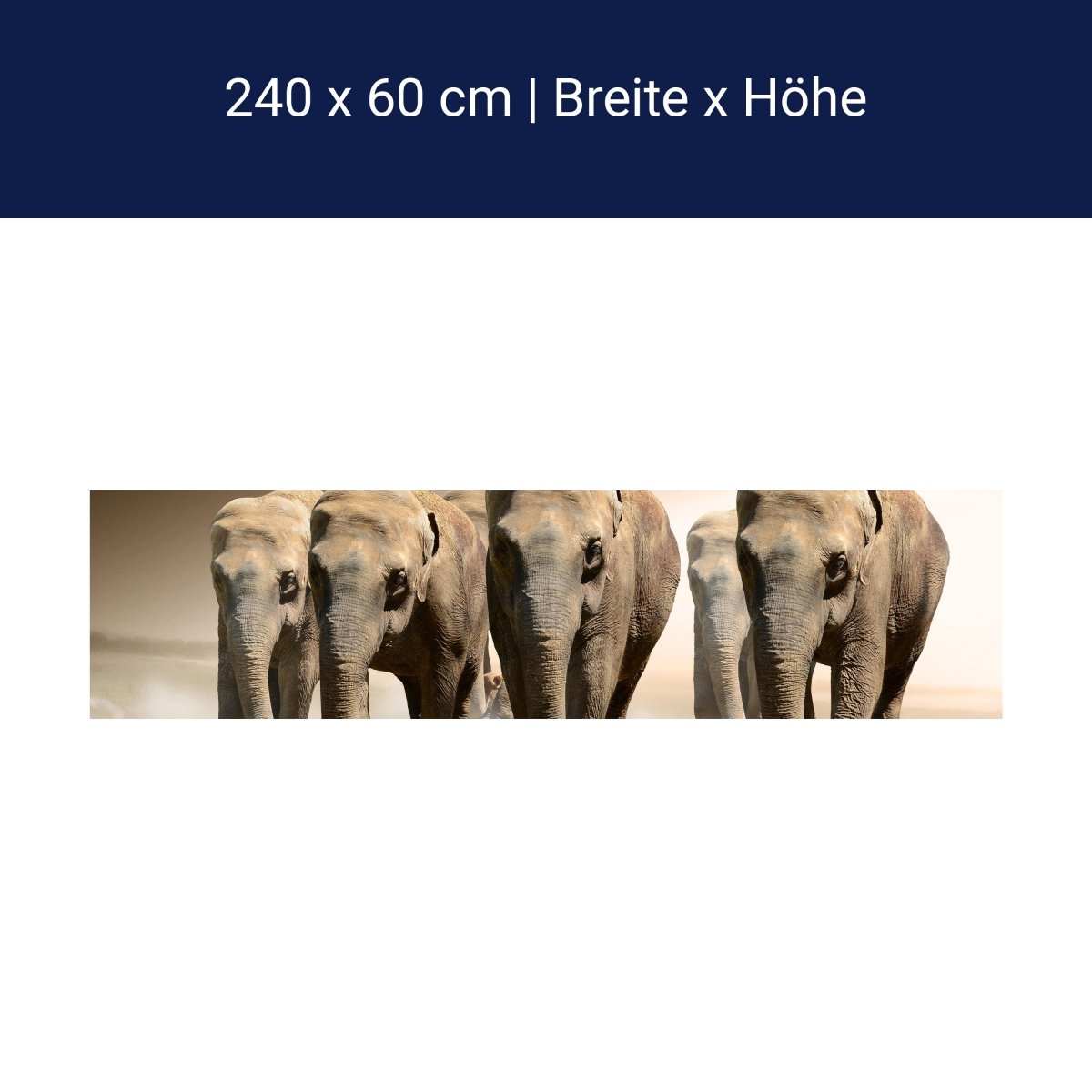 Küchenrückwand Elefantengruppe Afrika M0245