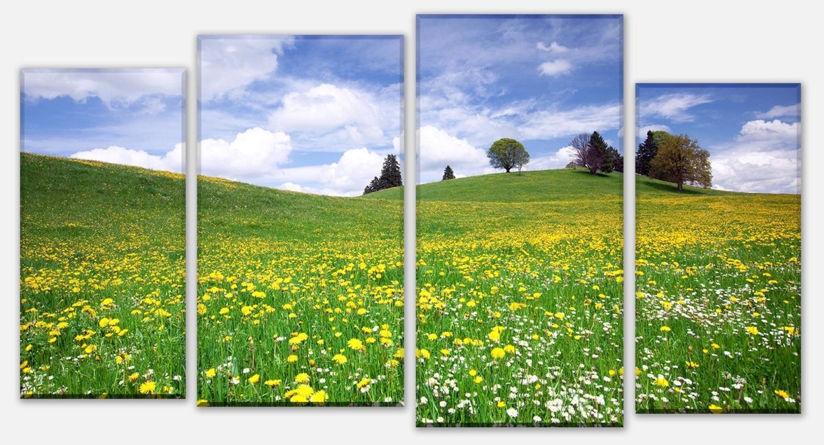 Leinwandbild Mehrteiler Sommerwiese M0335