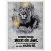 Poster Motivation, Spruch, Löwe M0355