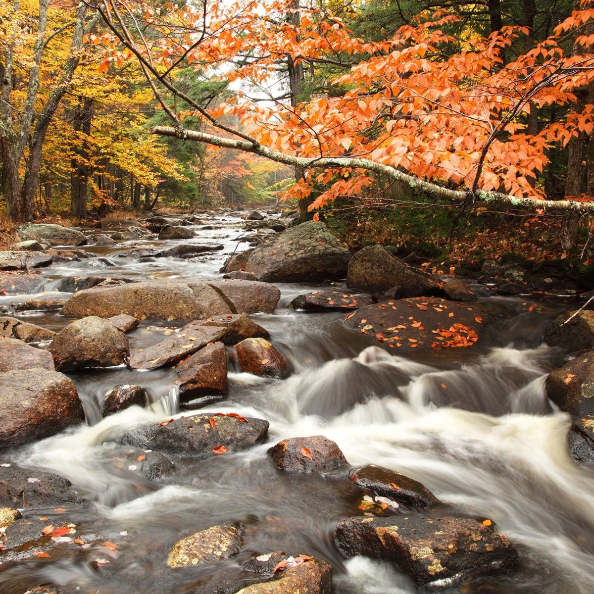 Beistelltisch Fluss im Herbst M0381 entdecken - Bild 2