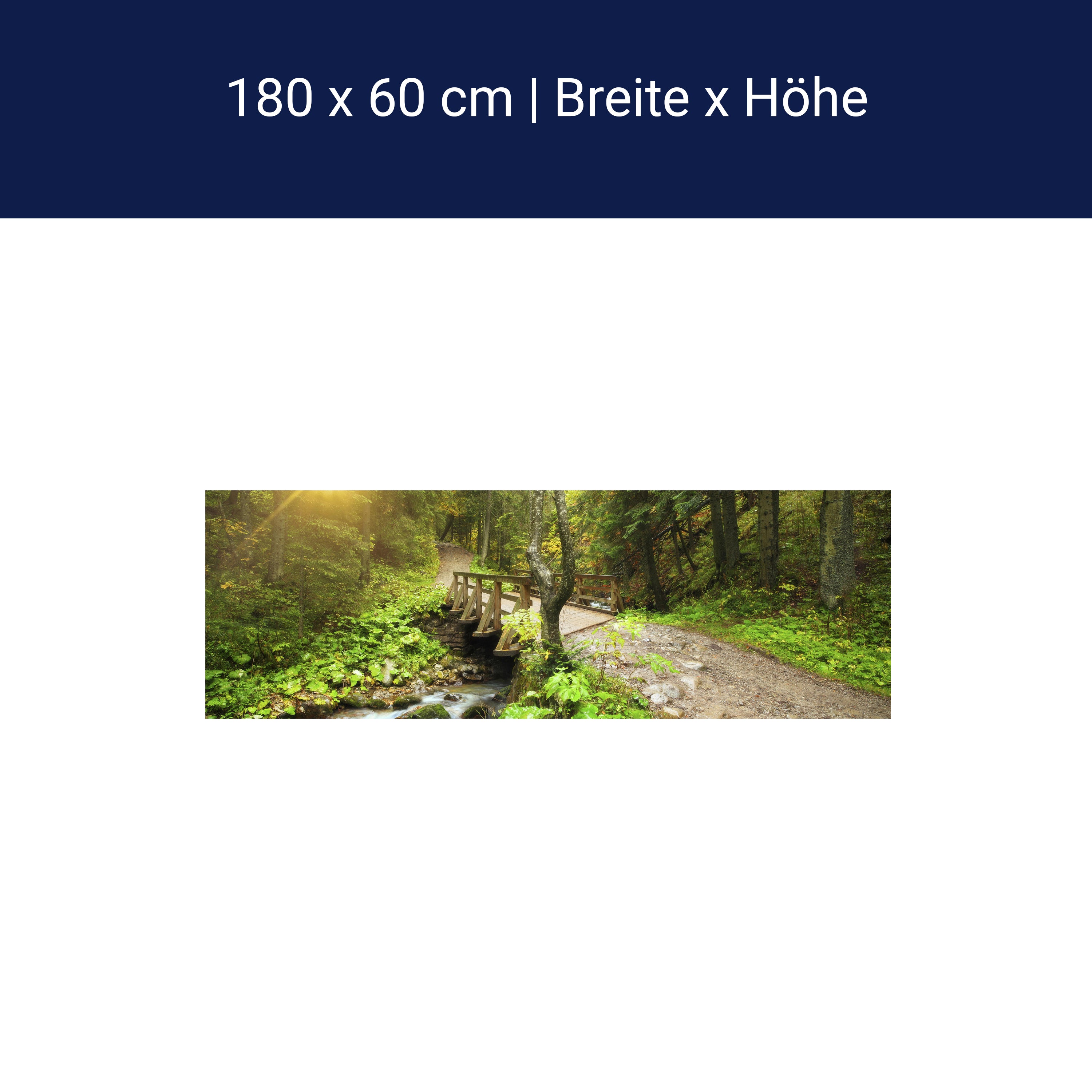 Küchenrückwand Waldweg mit Bach M0397