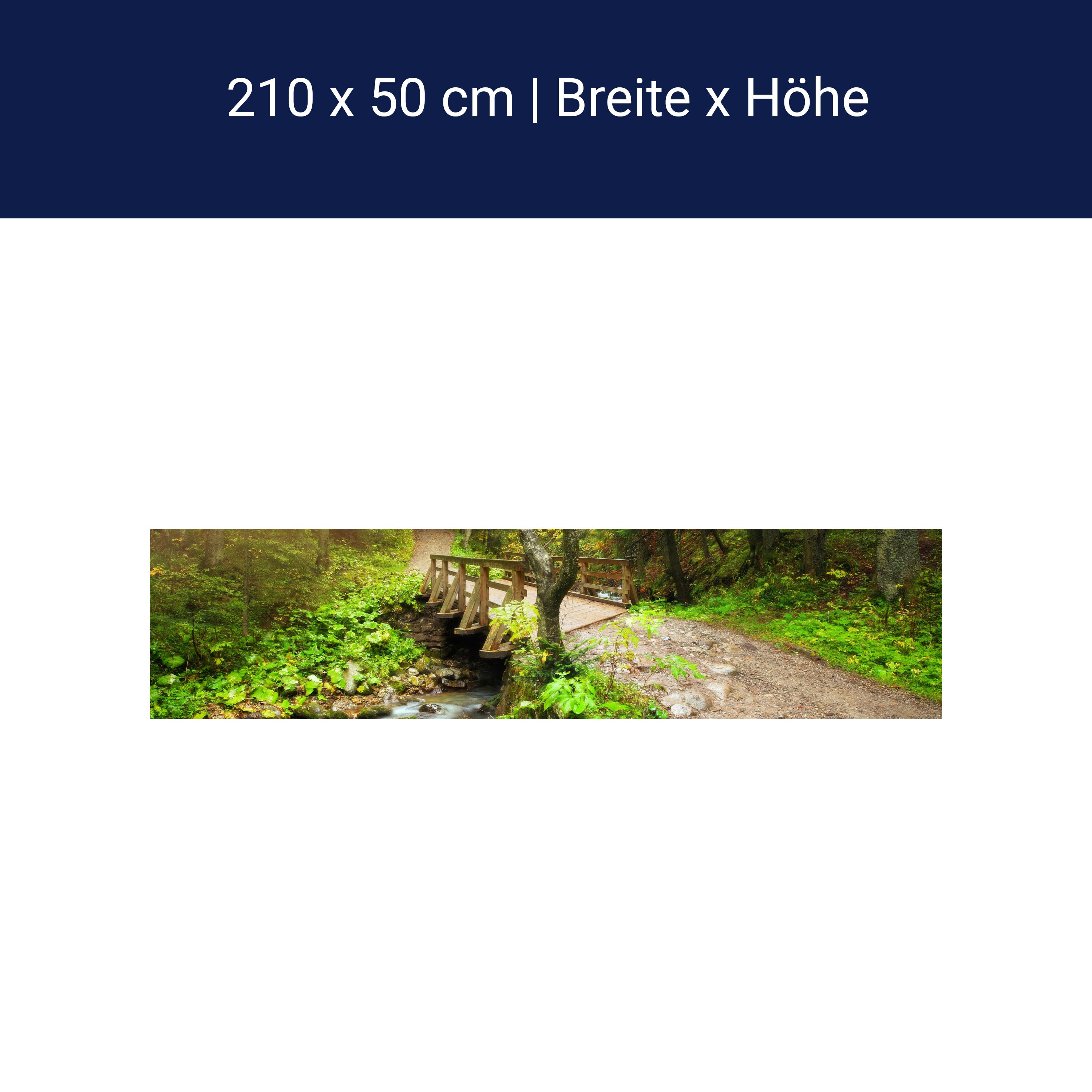 Küchenrückwand Waldweg mit Bach M0397